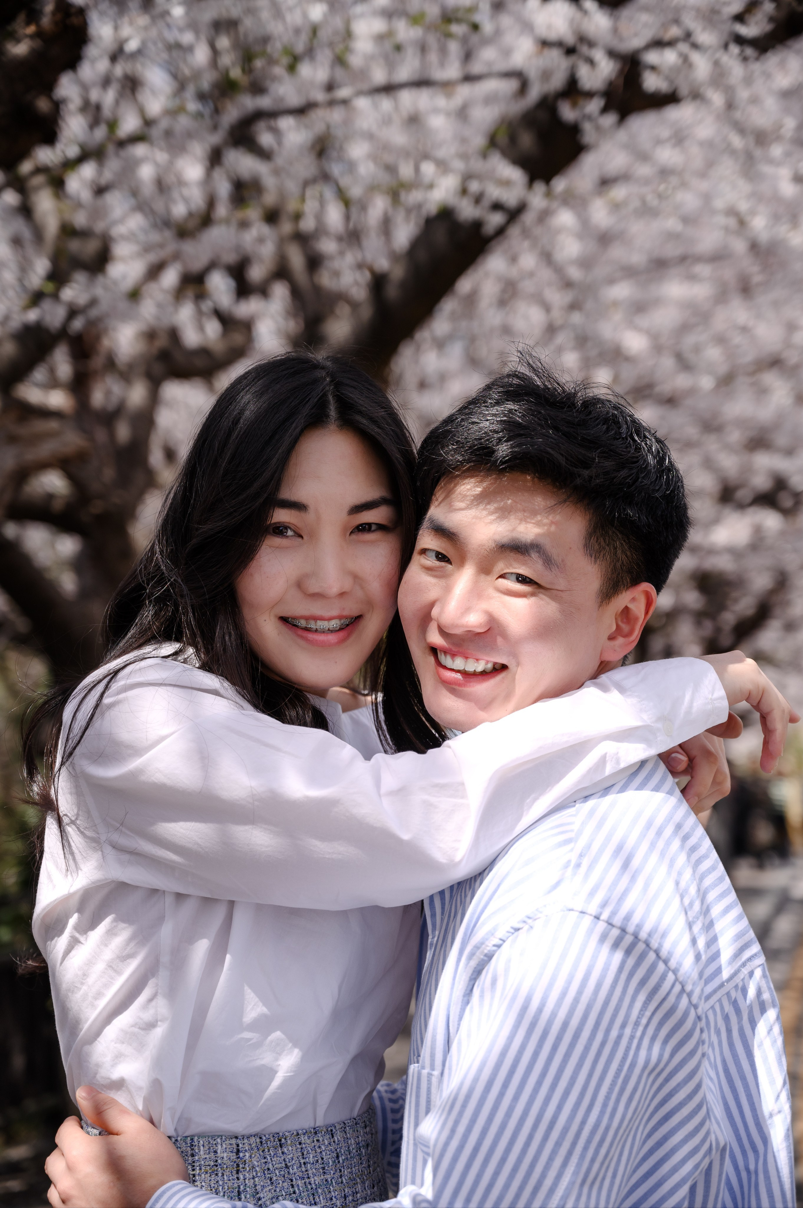 釜山樱花季情侣浪漫写真 韩国樱花摄影