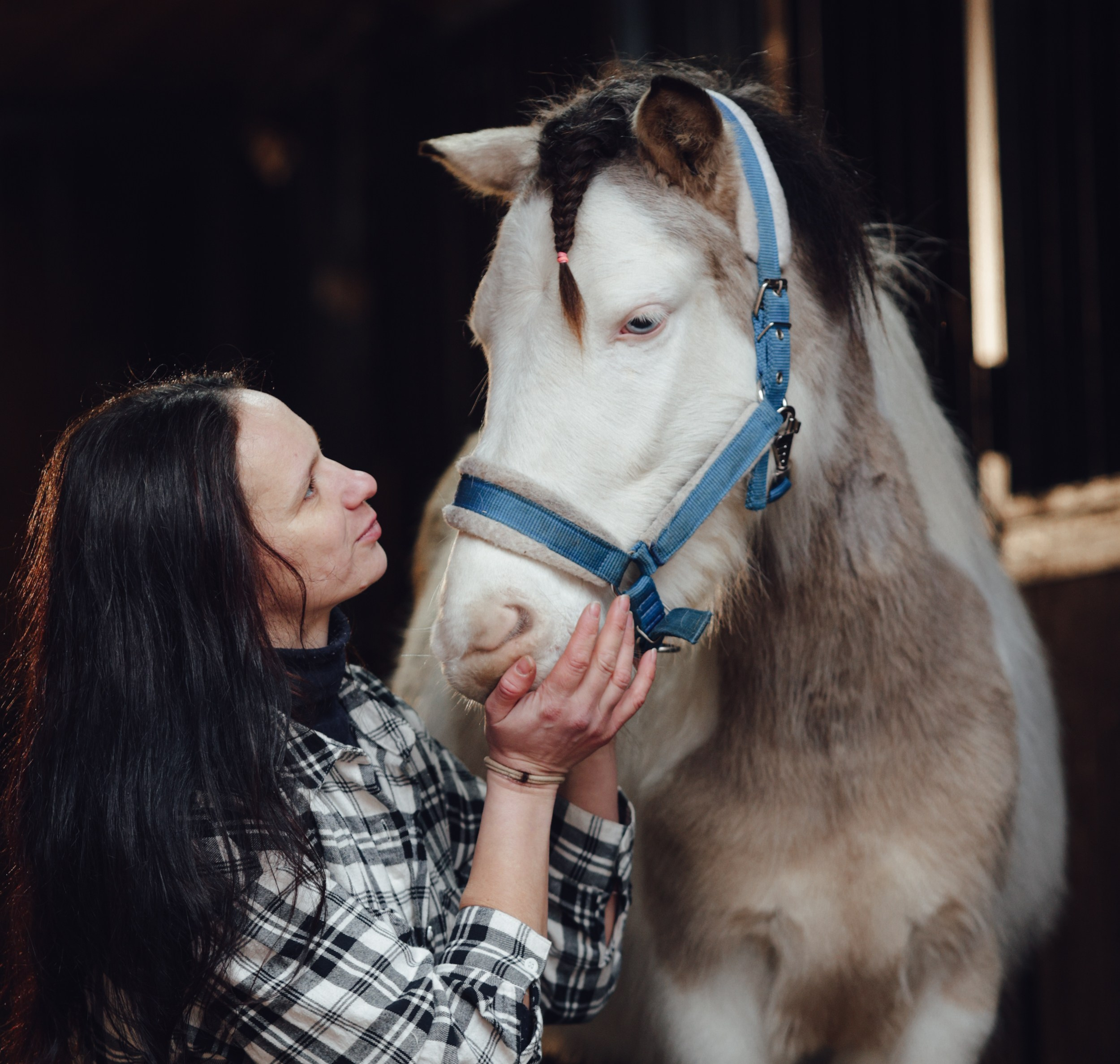 Бамблби. Фотограф Варвара Ермоленко
