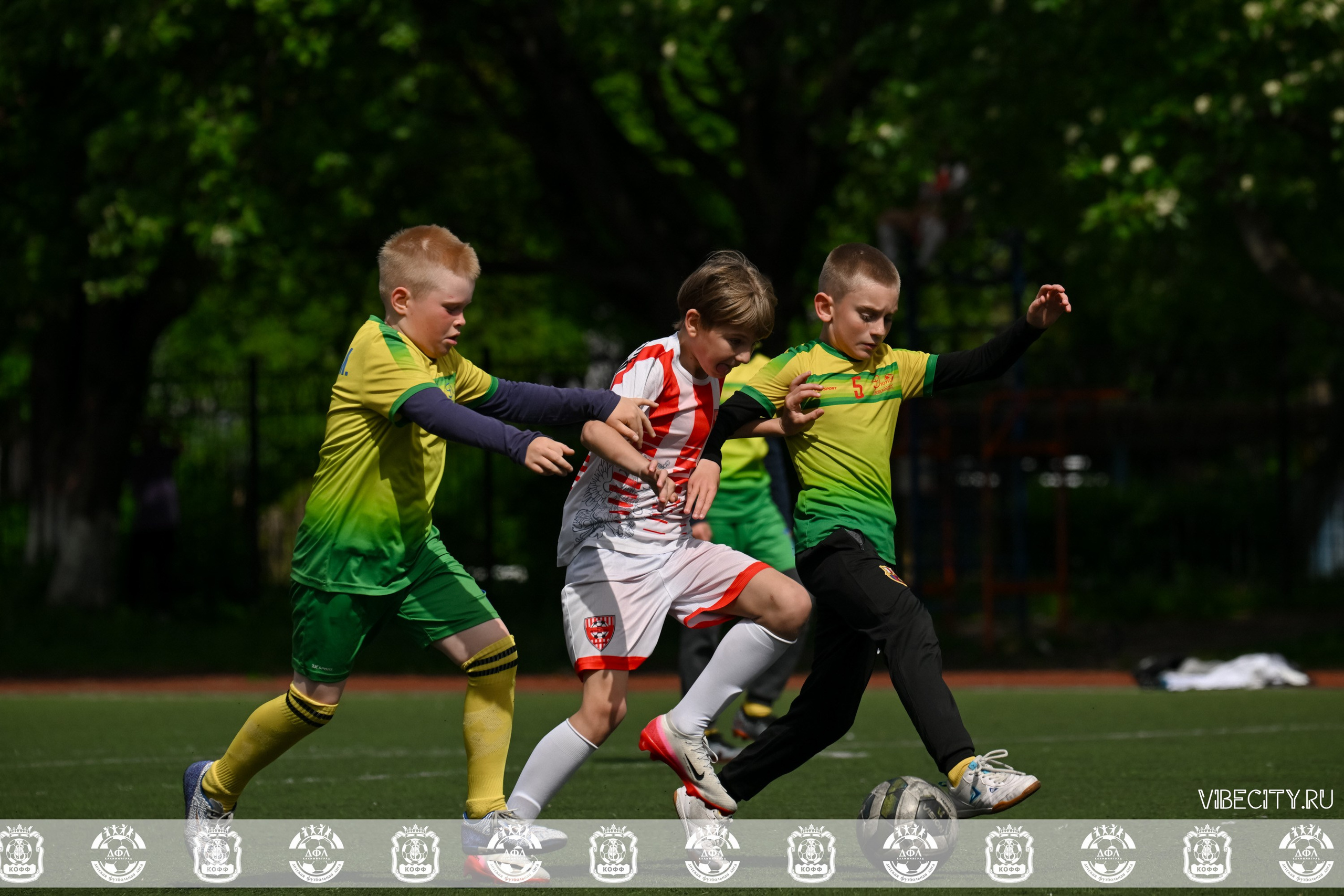 ДФЛ 17 Лицей. VIBECITY.RU Вайб Сити Ру Фоторепортажи Фотоотчеты Калининград
