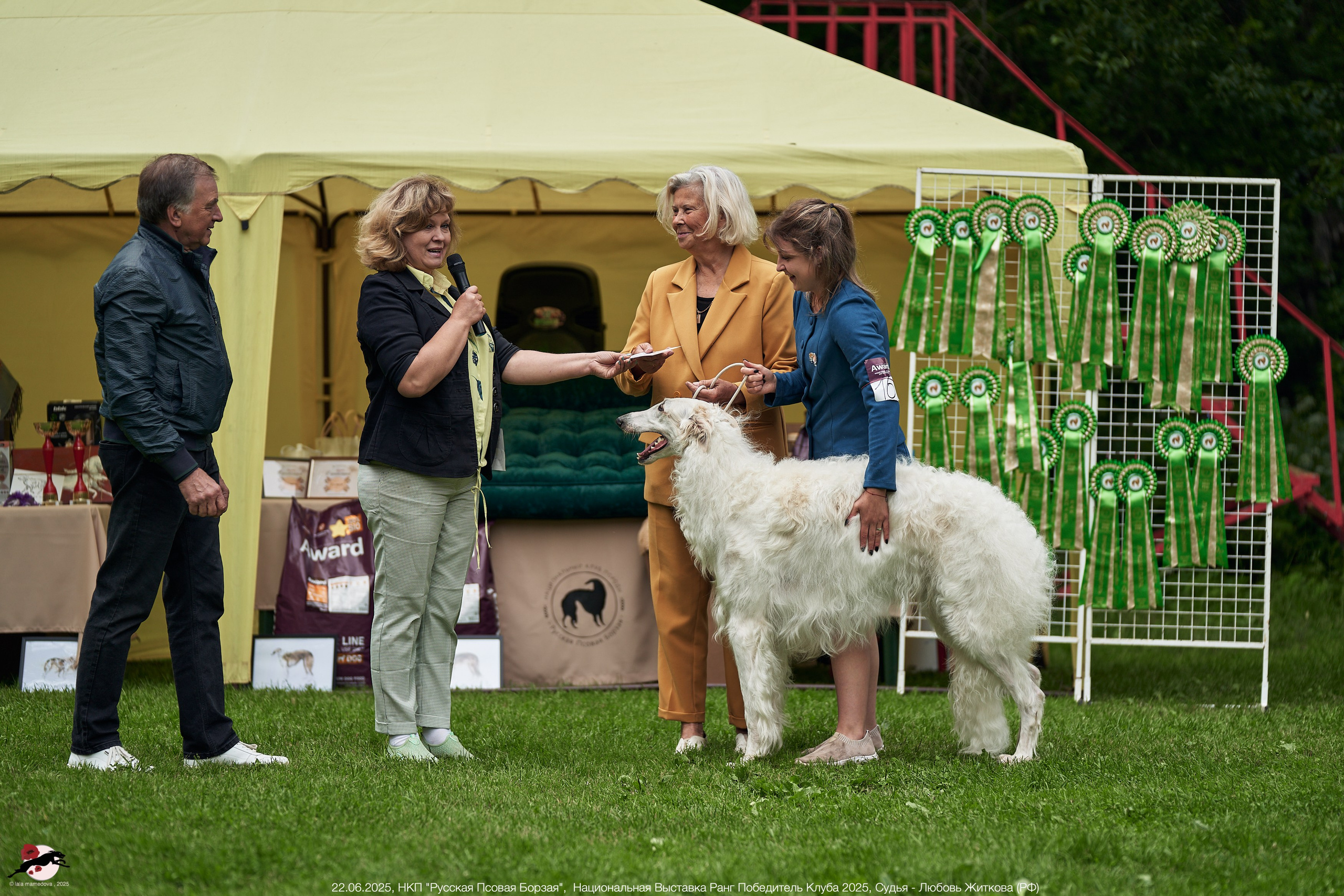 22.06.2025 | Национальная Выставка НКП "Русская Псовая Борзая"