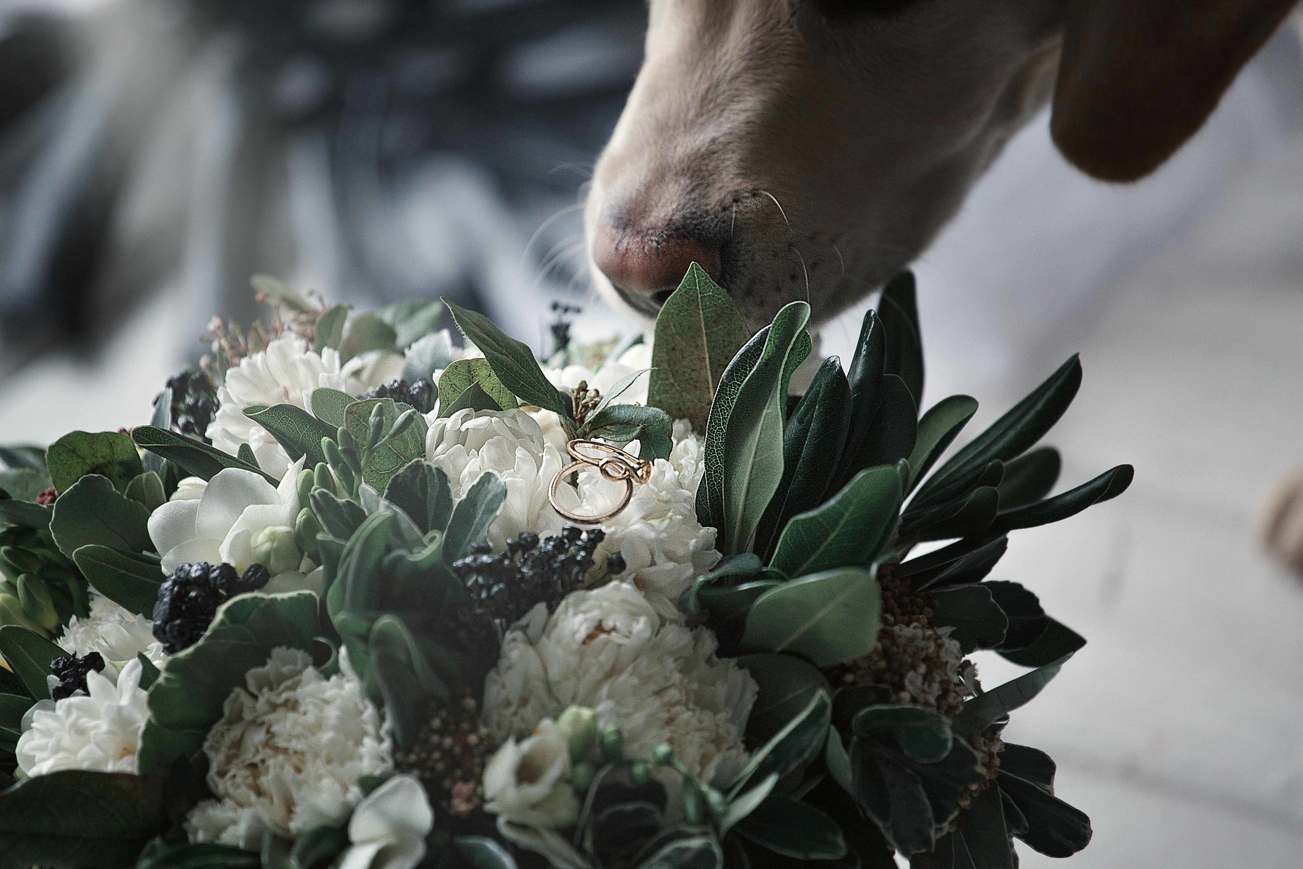 WEDDING (LIFESTYLE). Екатерина Дымова. Фотограф. Автор проекта «Белый Ветер»