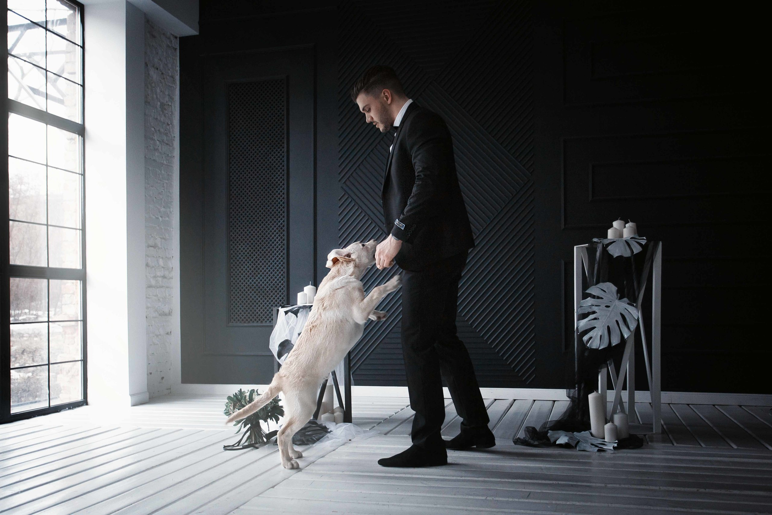 WEDDING (LIFESTYLE). Екатерина Дымова. Фотограф. Автор проекта «Белый Ветер»