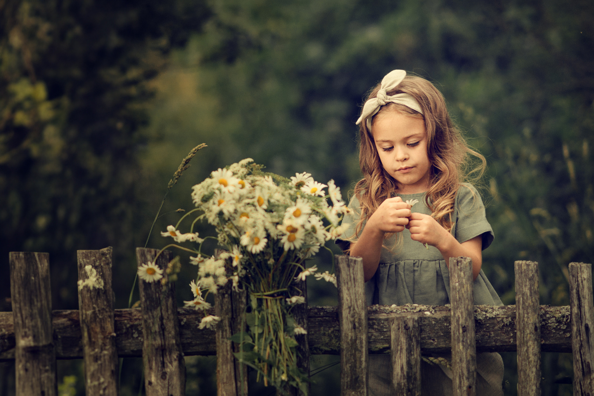 Lightroom, Camera Raw, Bridge. Наталья Рапопорт. Онлайн-курсы по фотографии и съемке видео