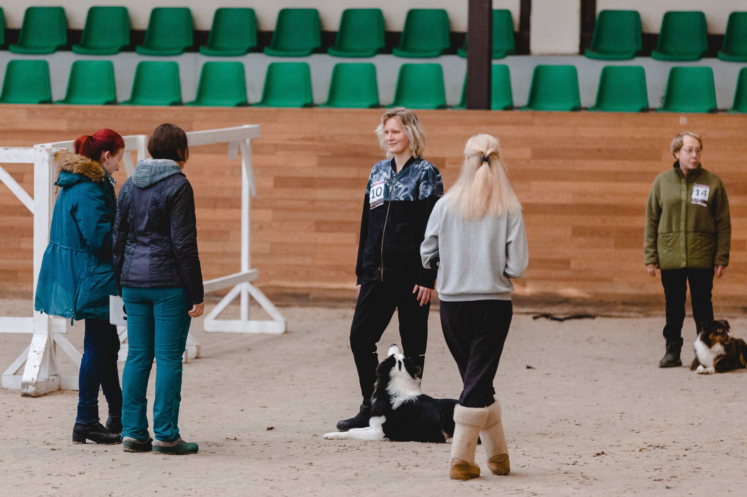 О нас. BLGKV питомник собак