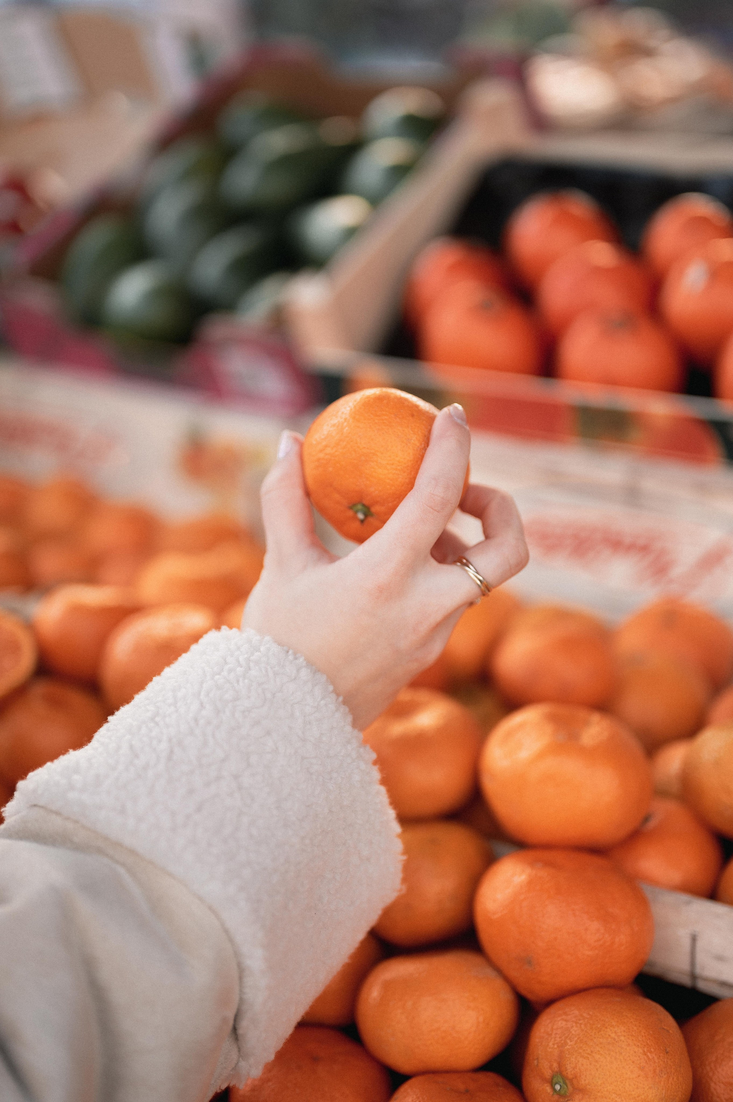 АЛИСА И НОВЫЙ ГОД. Фотограф в Белграде Чугреева Елена