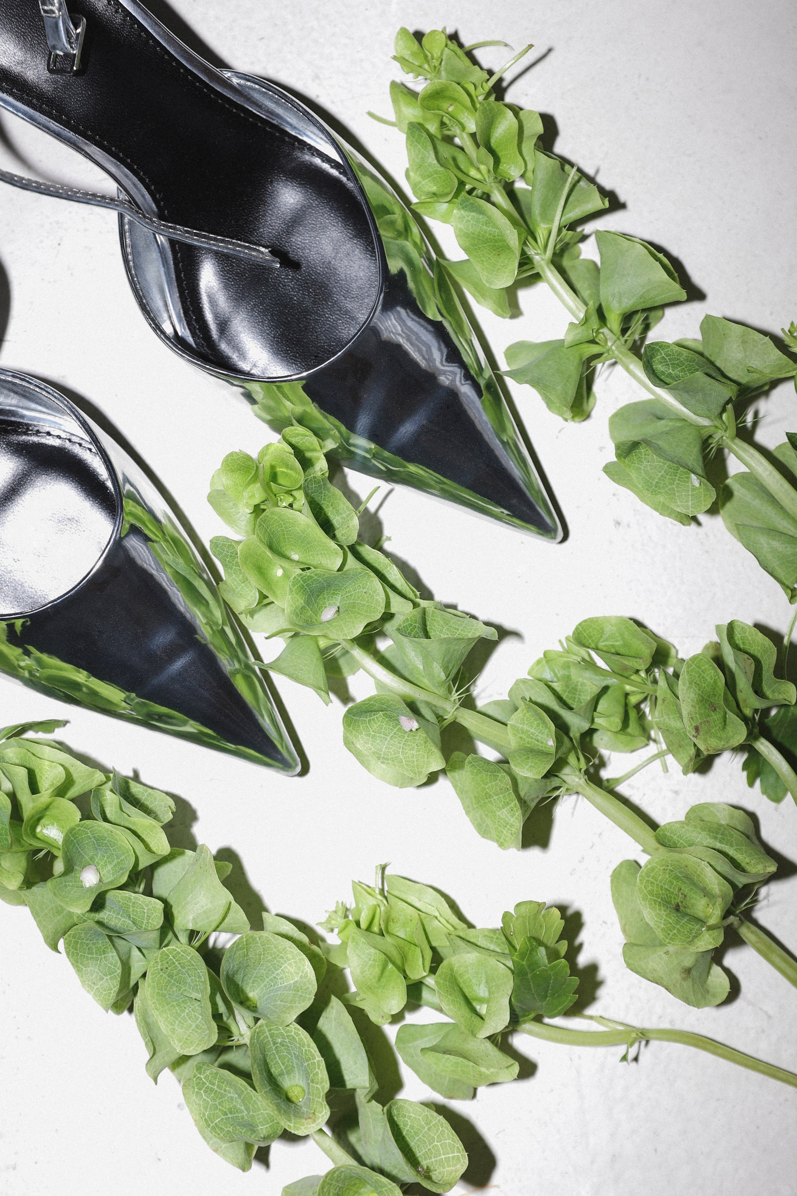 Свадебный, портретный, семейный фотограф. Севастополь, Ялта, Симферополь, Крым. Видеограф в Крыму на свадьбу