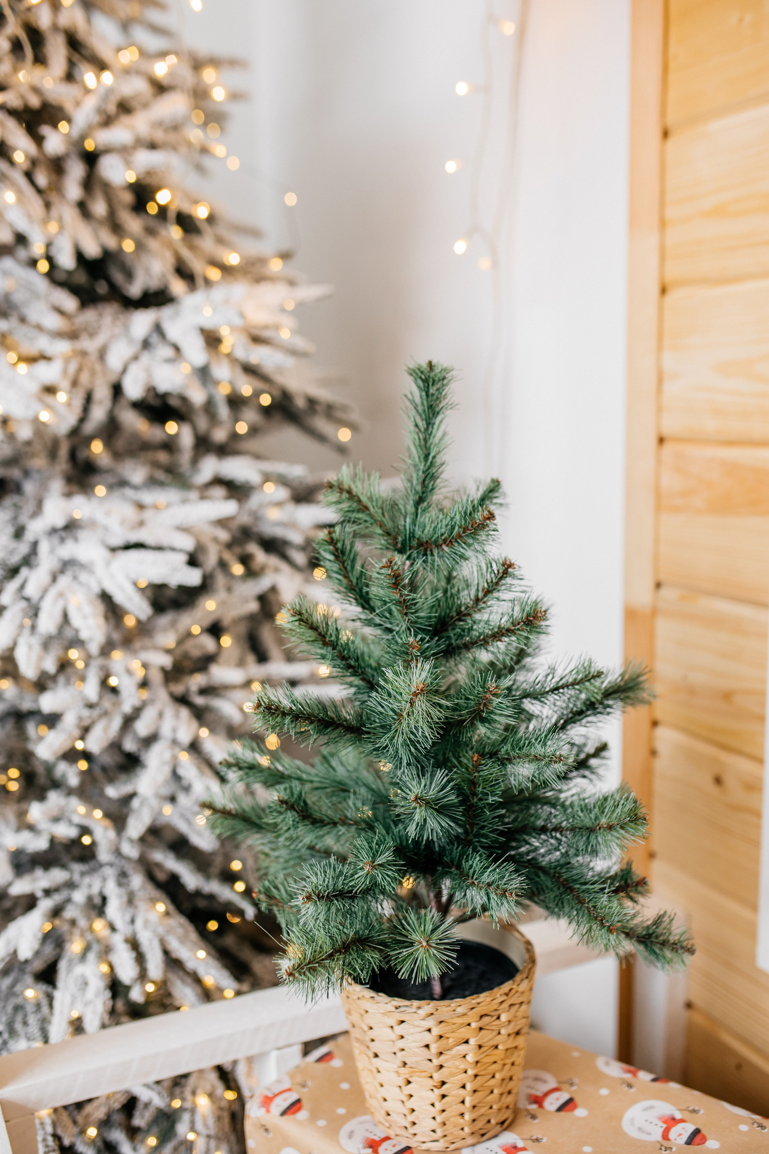 ETO Studio — фотостудия в Минске. Понравилась студия? Напишите — организую съёмку именно здесь. Фотограф в Минске Людмила Дутко