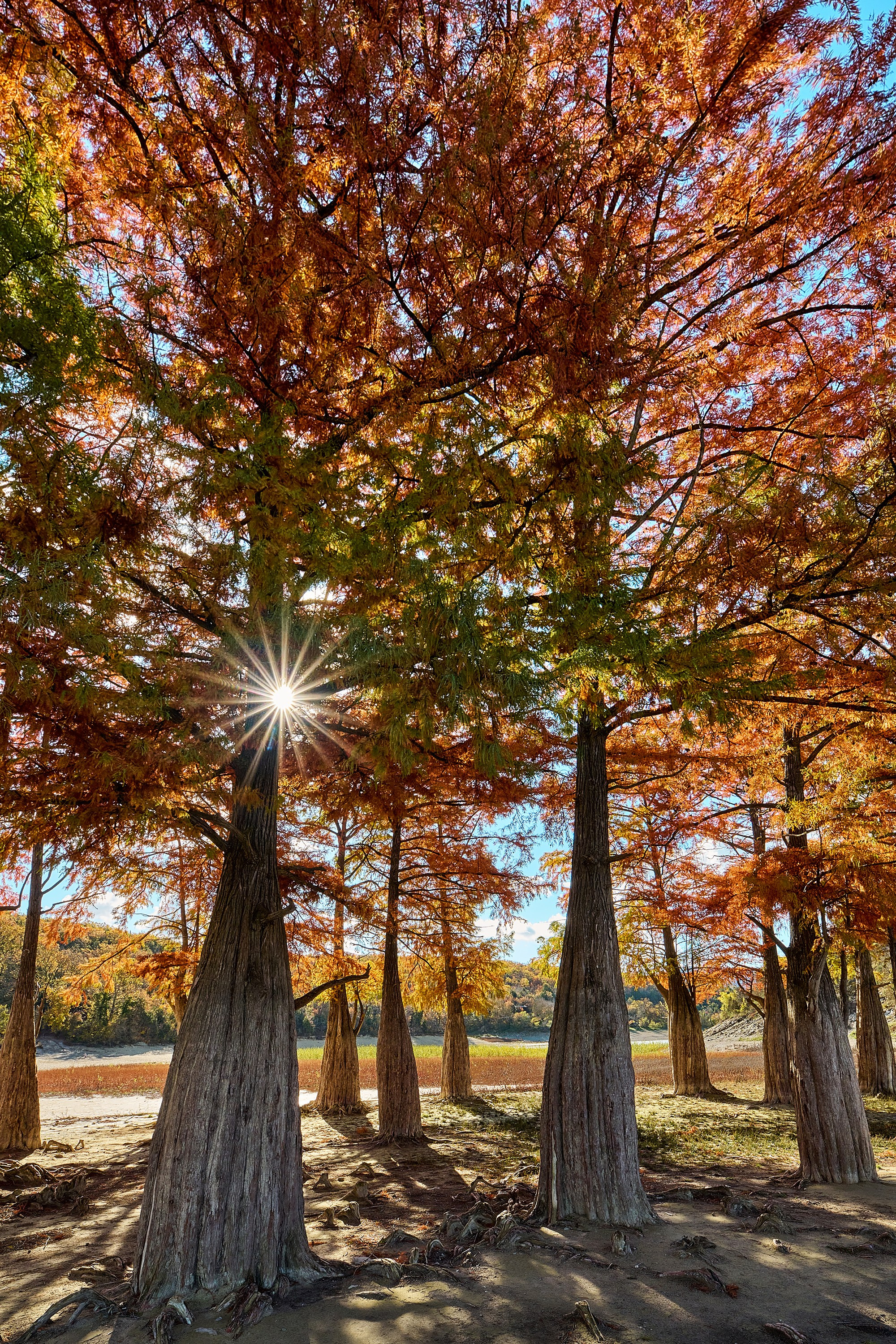 Пейзажи. Яркие фото на Чёрном море
