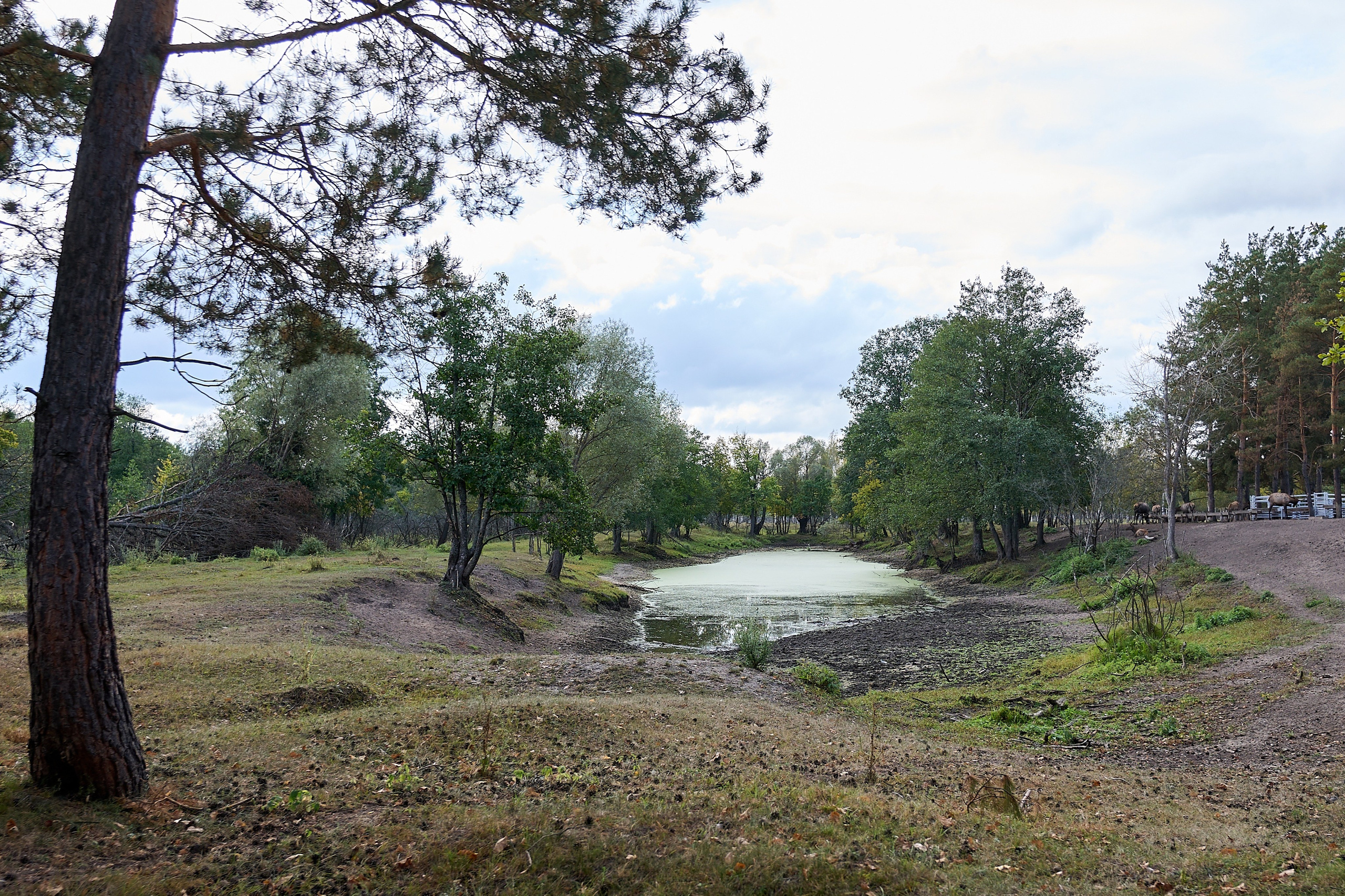 Кречет. Фотосъемка мероприятий