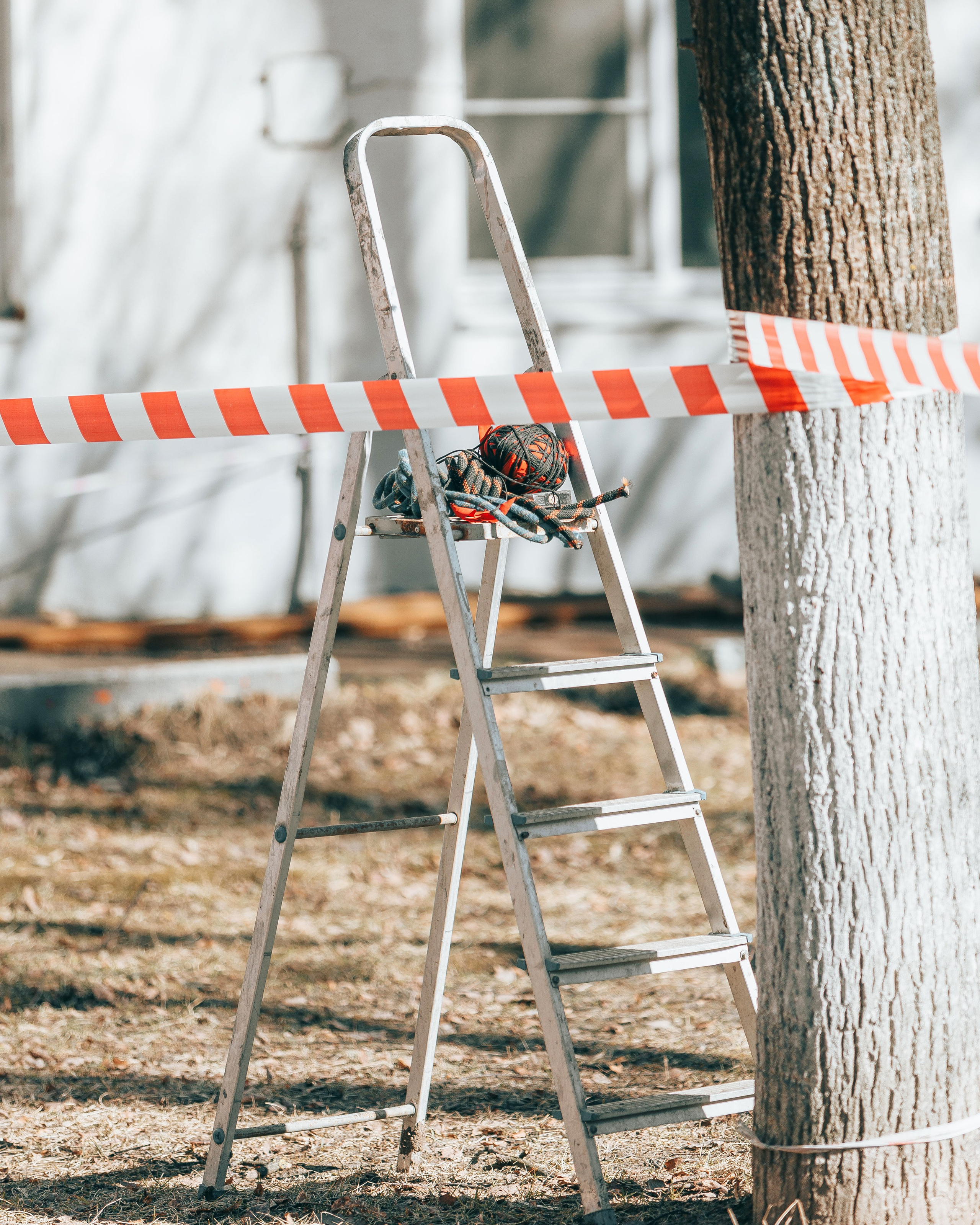 Первенство по спортивному туризму на пешеходных дистанциях. Выпускные альбомы и школьный фотограф в Подольске, Троицке, Щербинке, Москве и Московской области