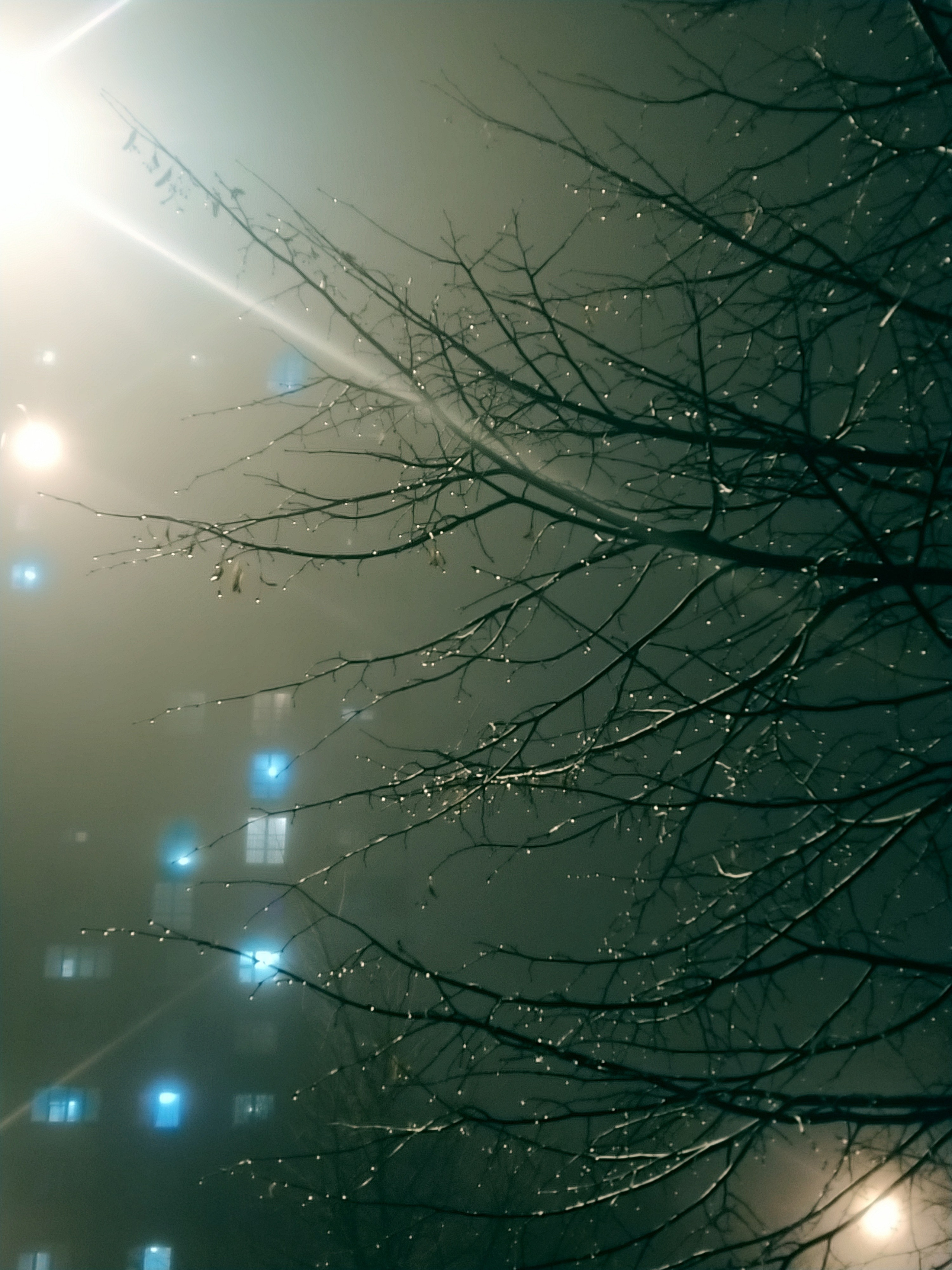 Глаза города М. (2018-2023). Tatyana Mazok творческий фотограф в Минске