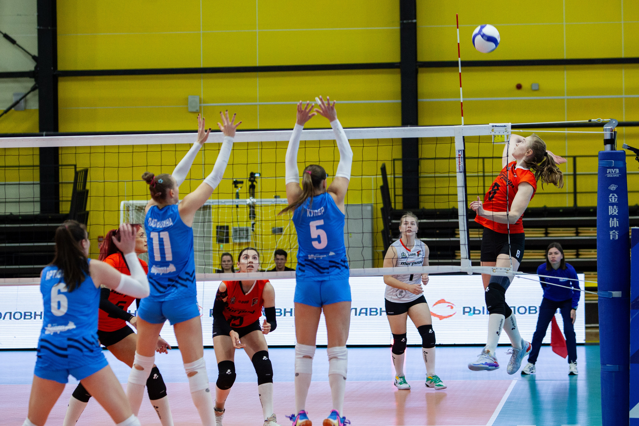 Один день из тура чемпионата России по волейболу. Кутузов Евгений Фотограф в Южно-Сахалинске
