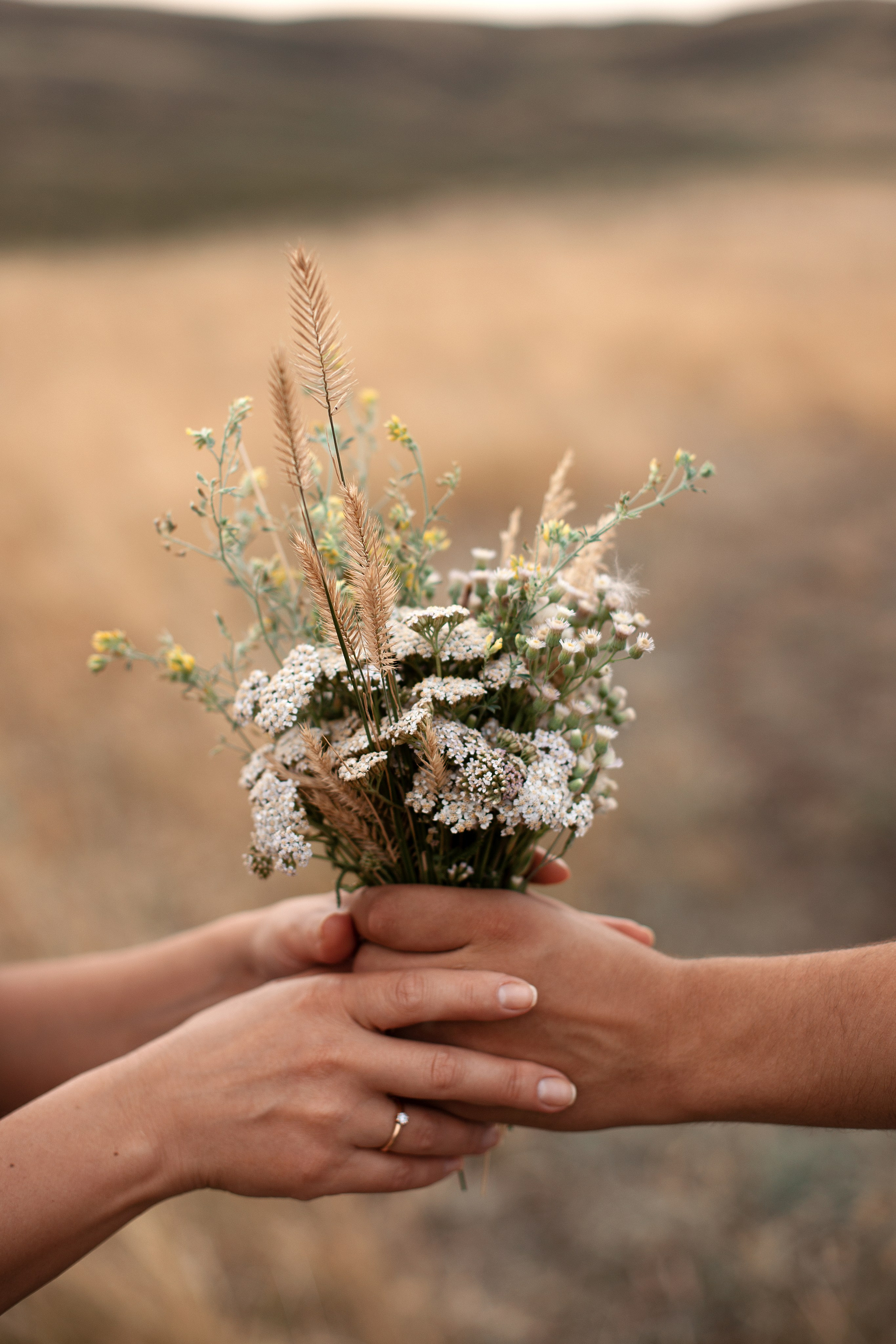 Семейные фотосессии. Фотограф Елена Зуйкова