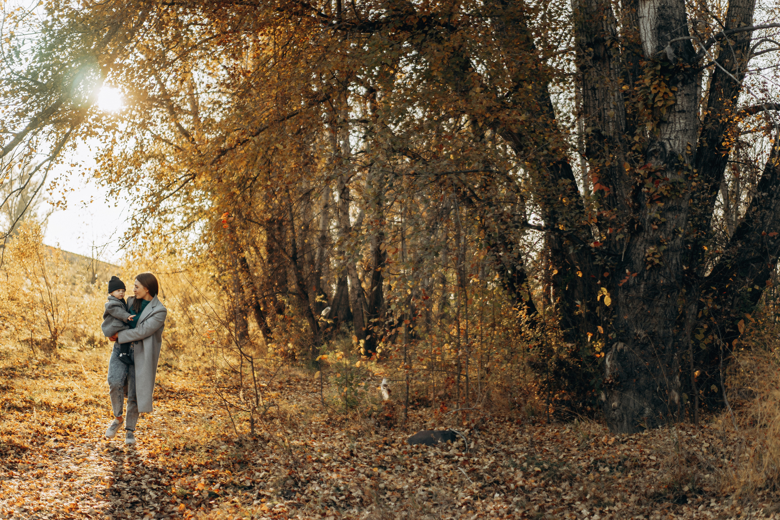 Семья Назаровых. Свадебный и семейный фотограф в Абакане Василевский Алексей