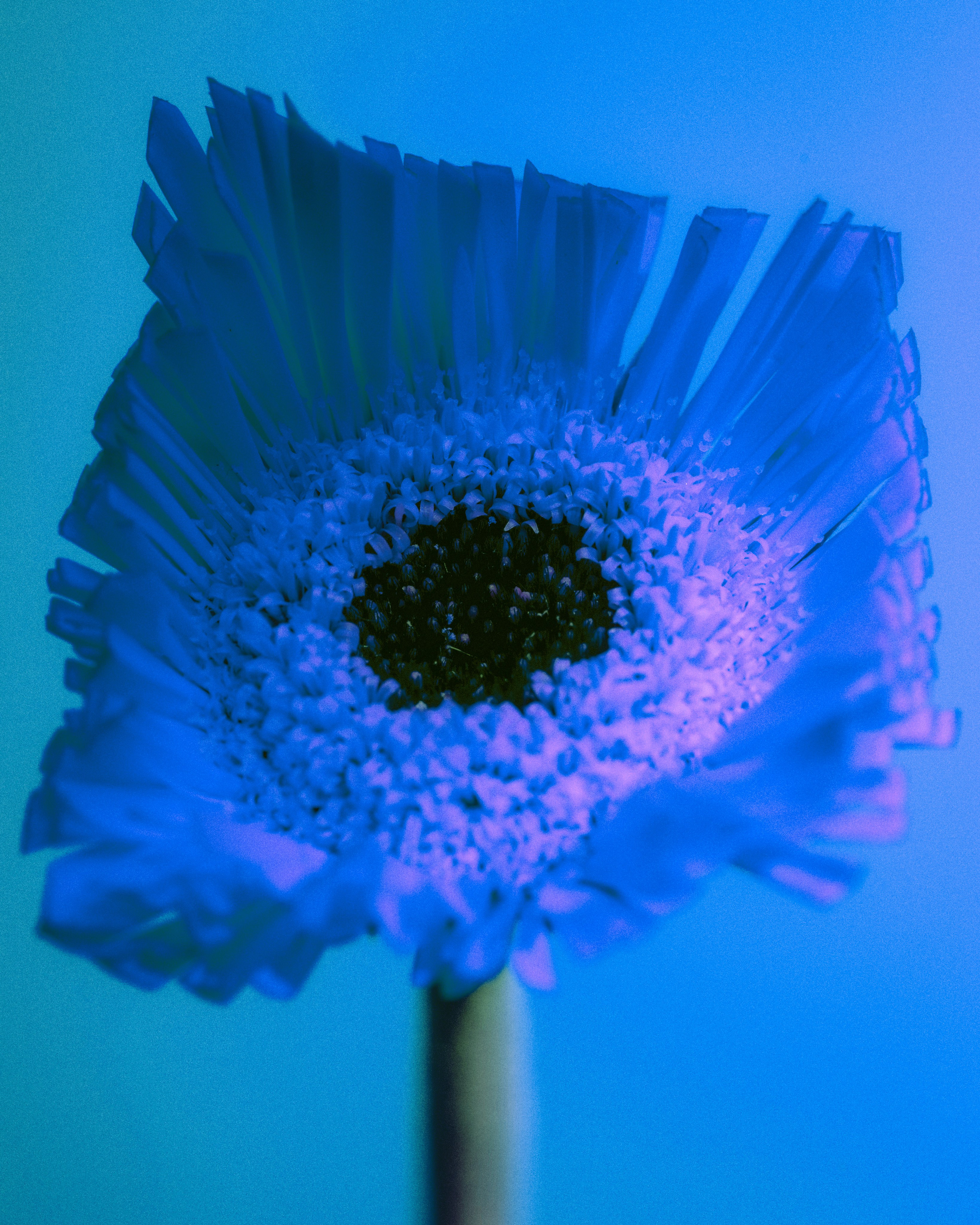 A64 — PORTFOLIO. Ivan Petrov photographer