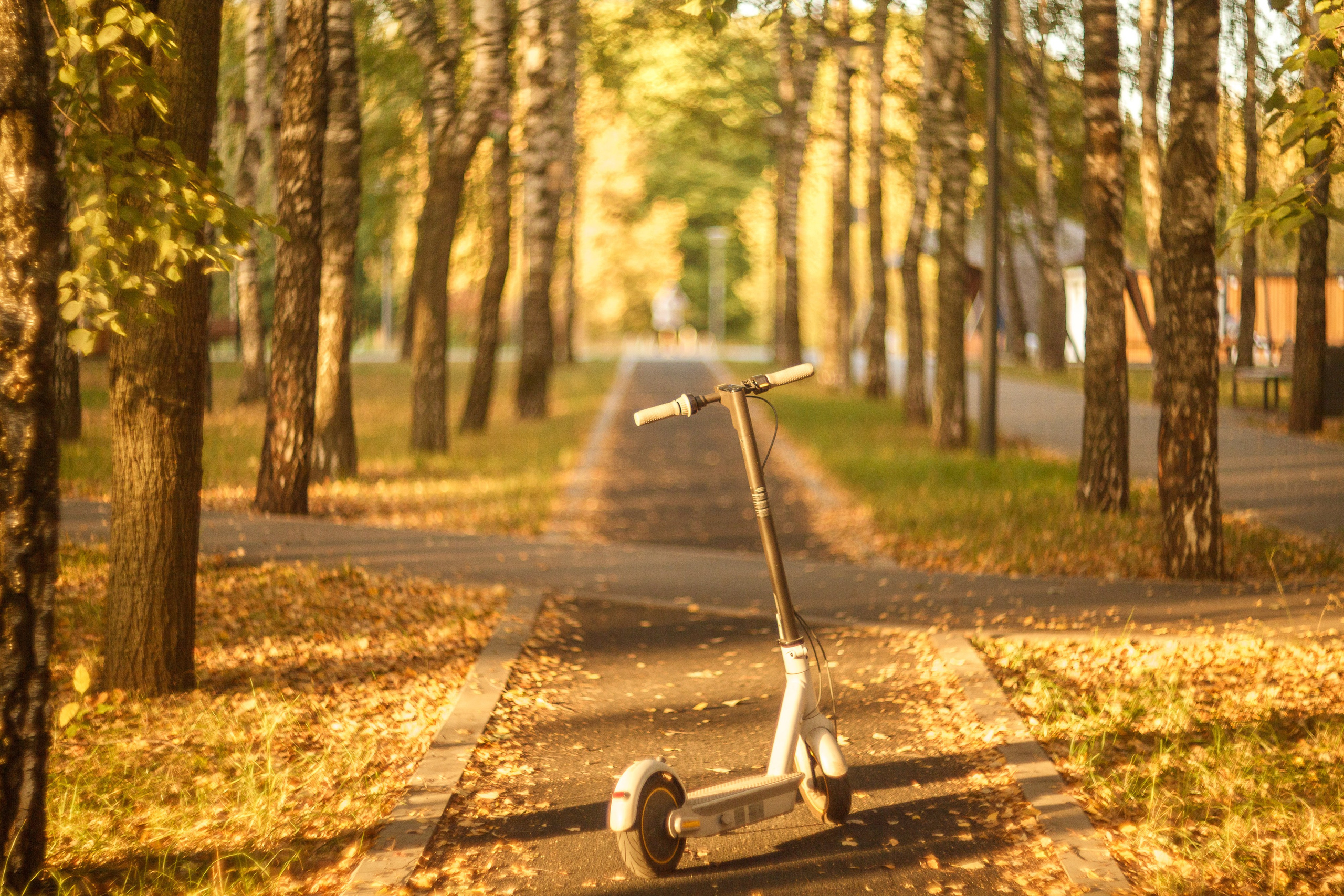 Серия «Цвет переосмыслений». Фотограф в Москве Татьяна Макотра