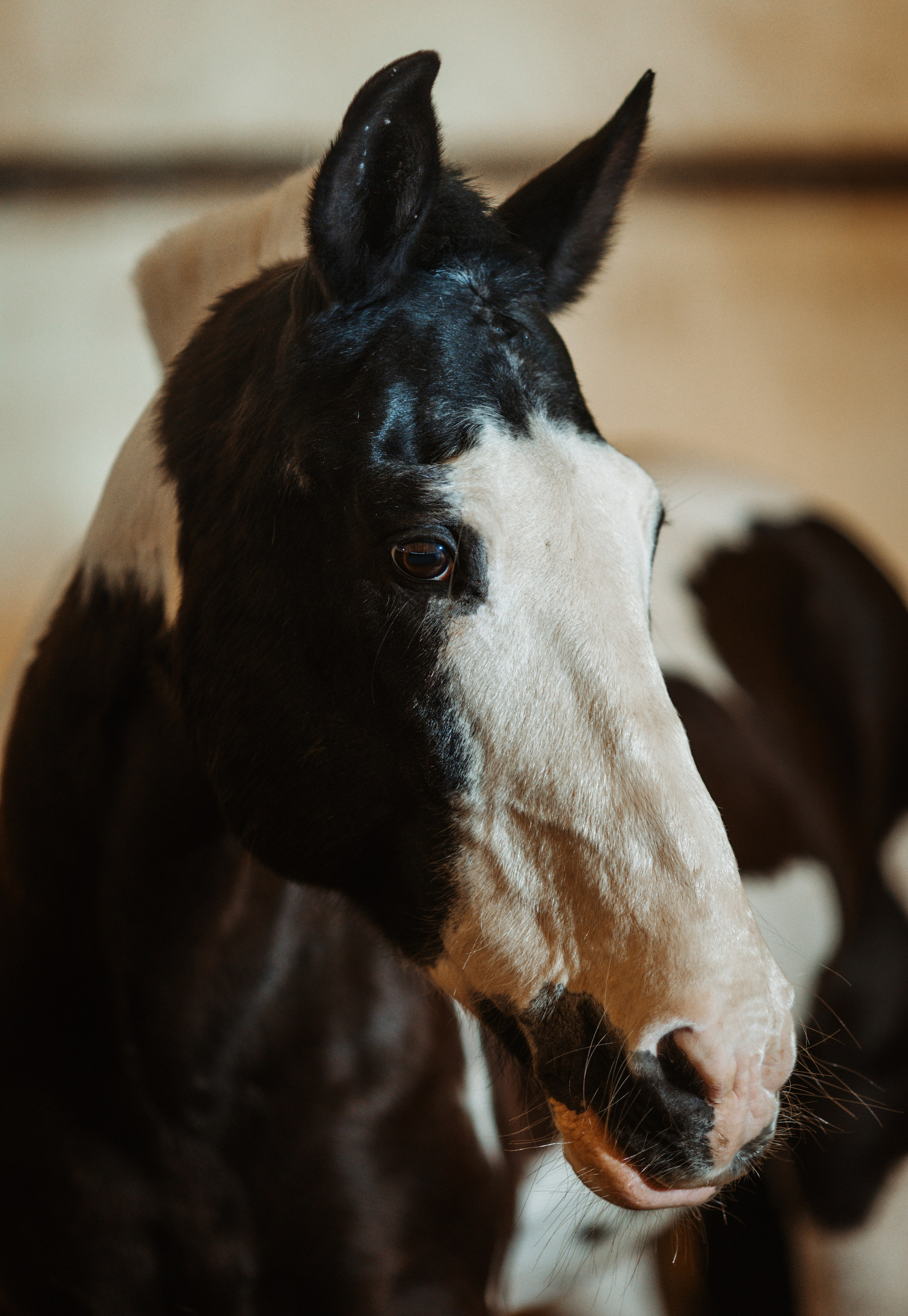 Вей. Фотограф Варвара Ермоленко