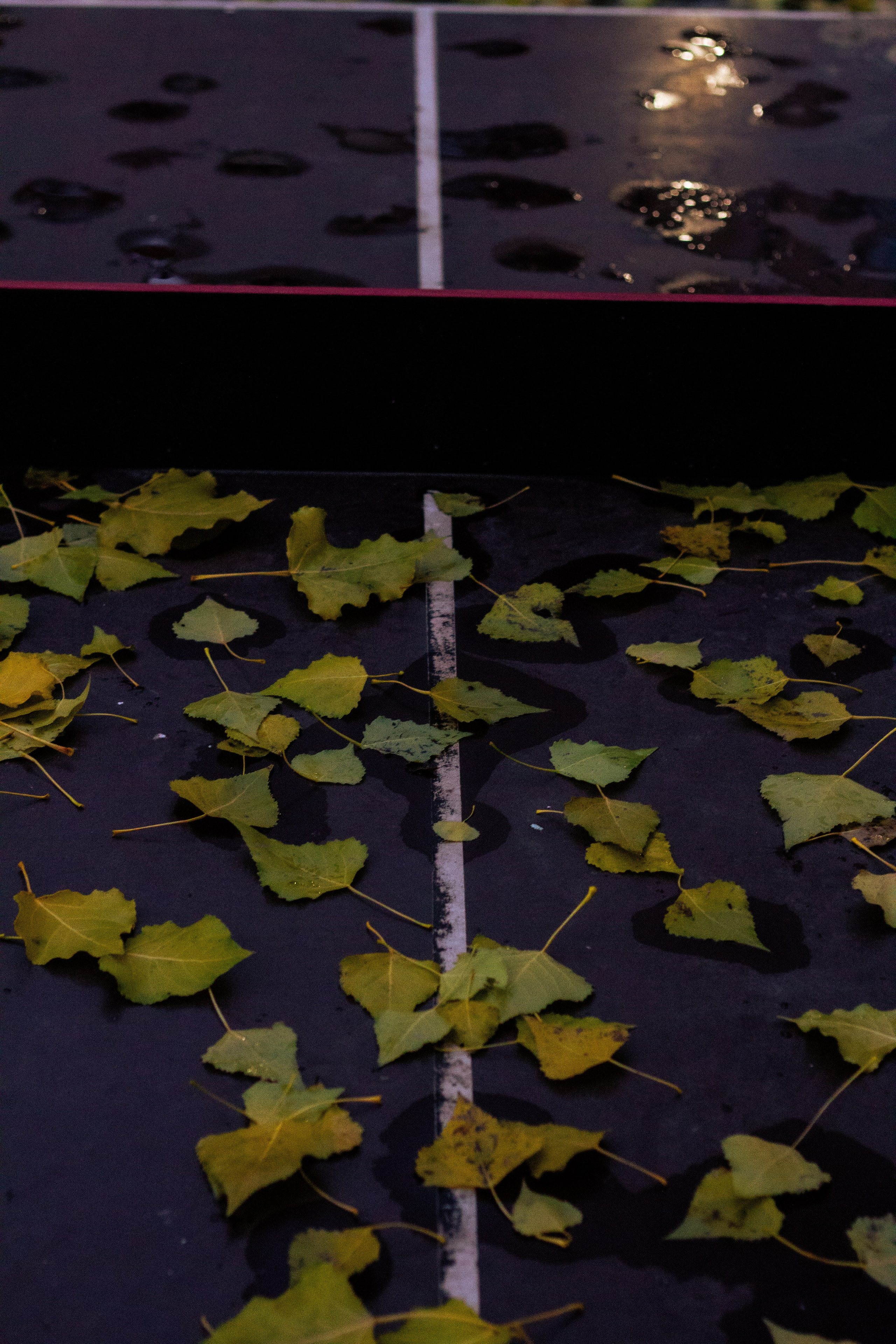Осень в Москве. Фотограф Москва, портрет, стрит, репортаж. Художественная фотосессия