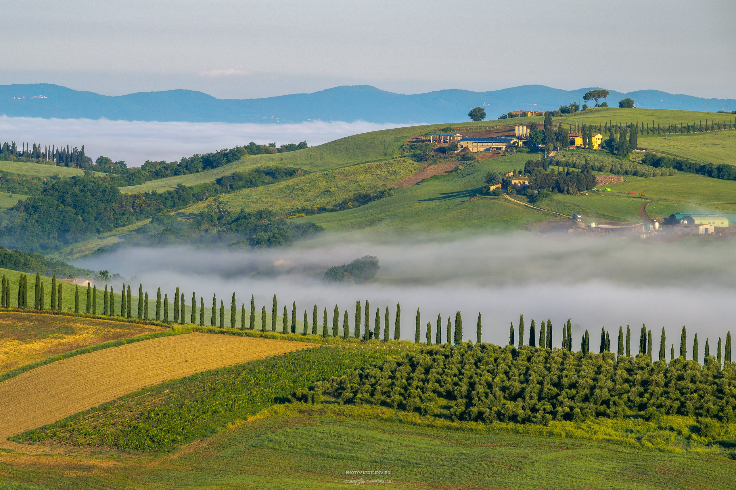 Долина Крете Сенези (Crete Senesi). Авторские стильные фотокартины