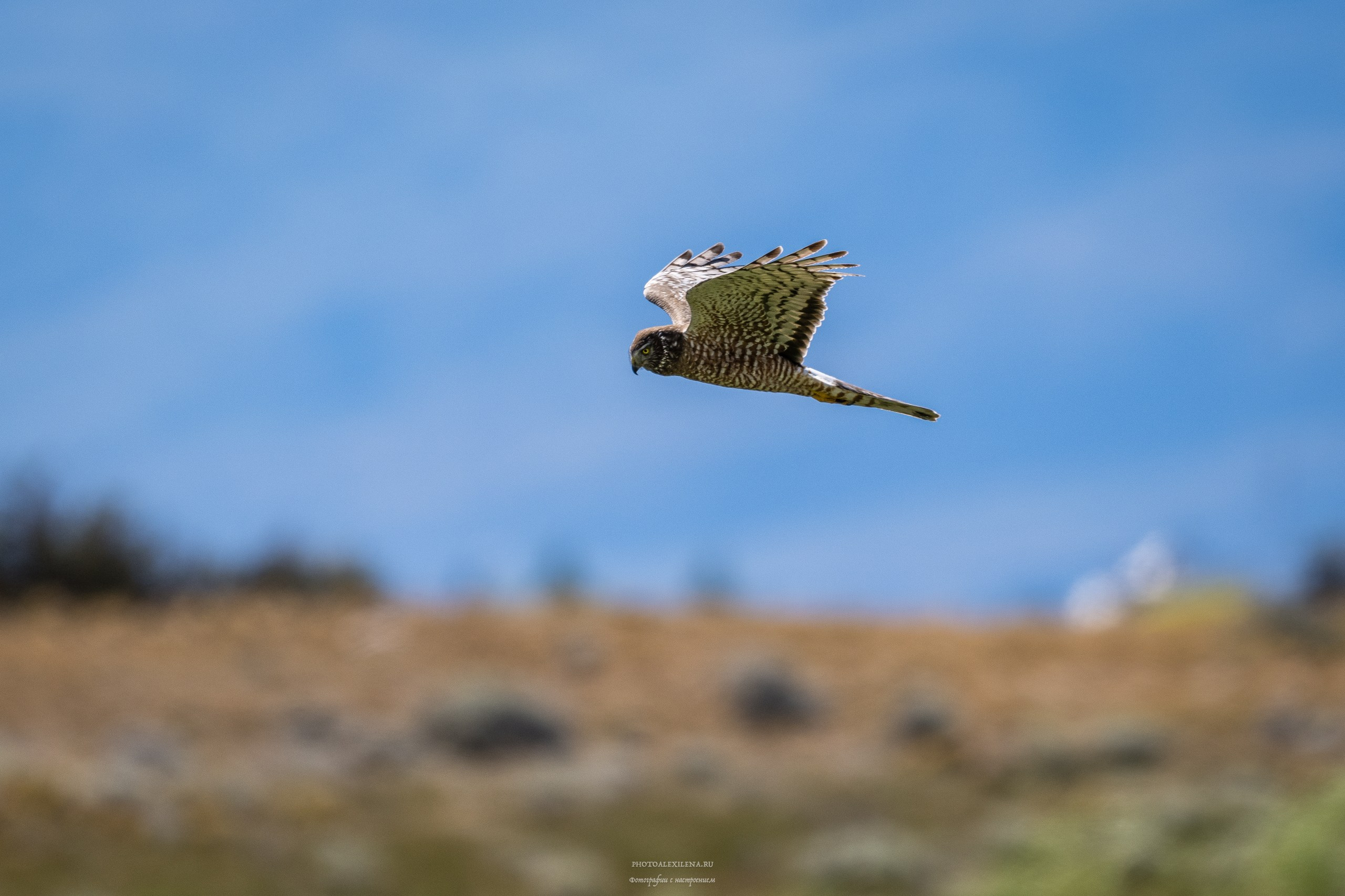 Ледник Перито-Морено, Лагуна Нимез и озеро Архентино. Авторские стильные фотокартины