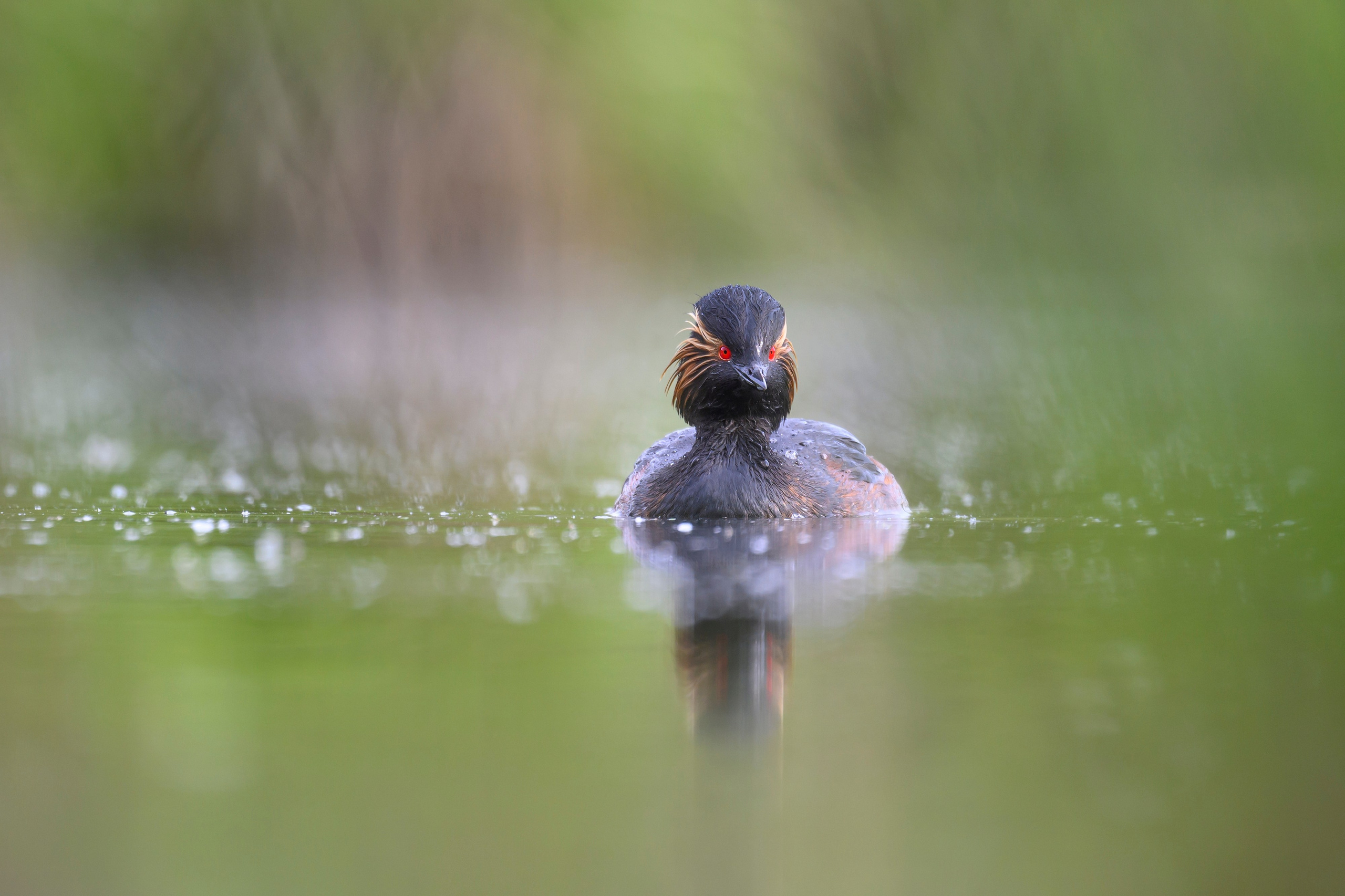 Мягкий свет. Фотограф Сергей Пупонин
