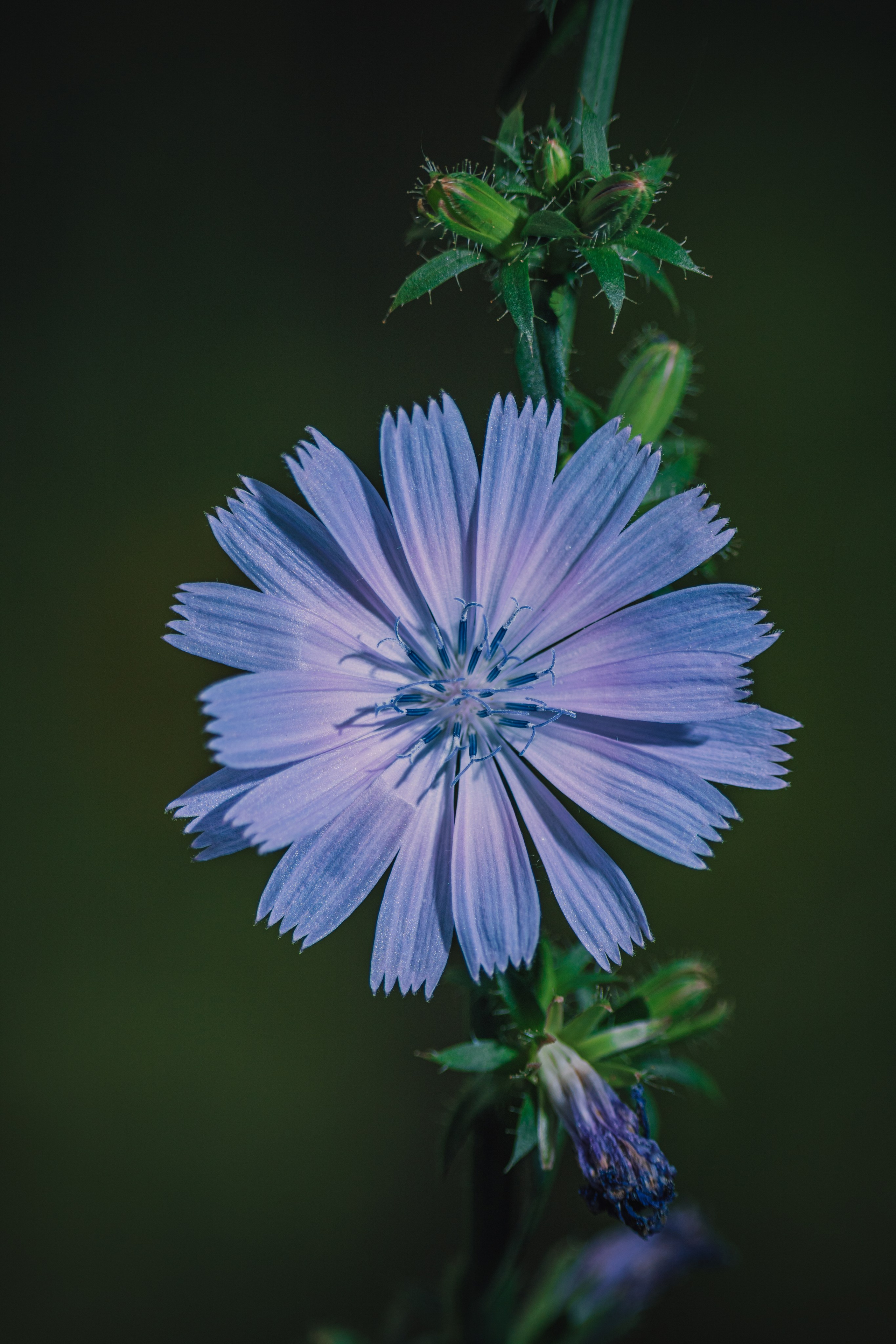 — Digital Noise —