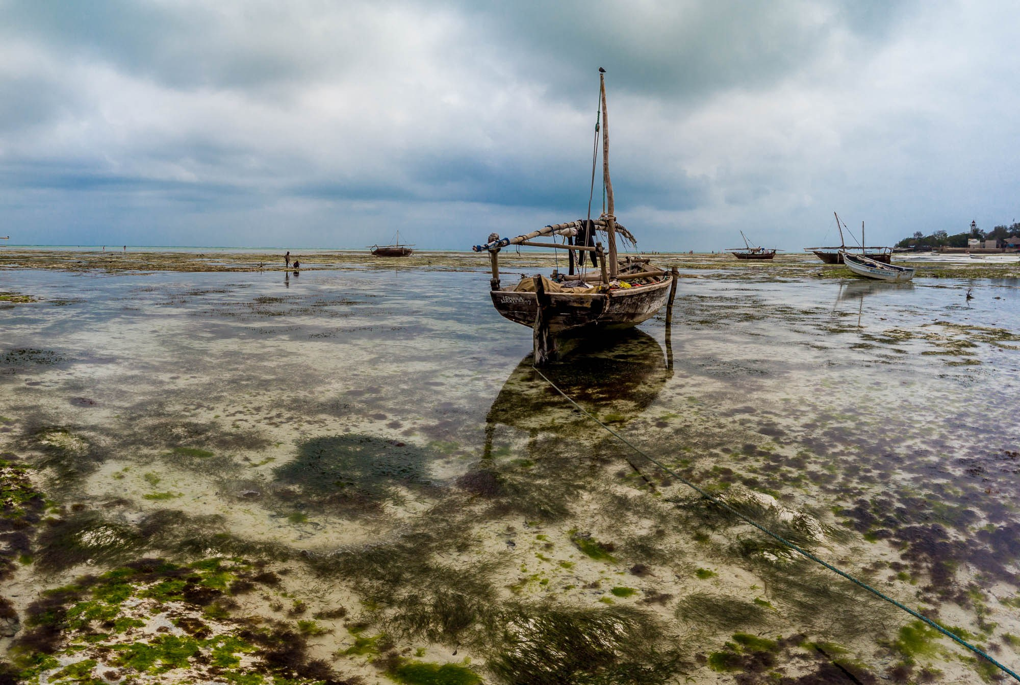 Африка, Танзания, Занзибар, Нунгви. Africa, Tanzania, Zanzibar, Nungwi. Фотограф Алексей Скоробогатько