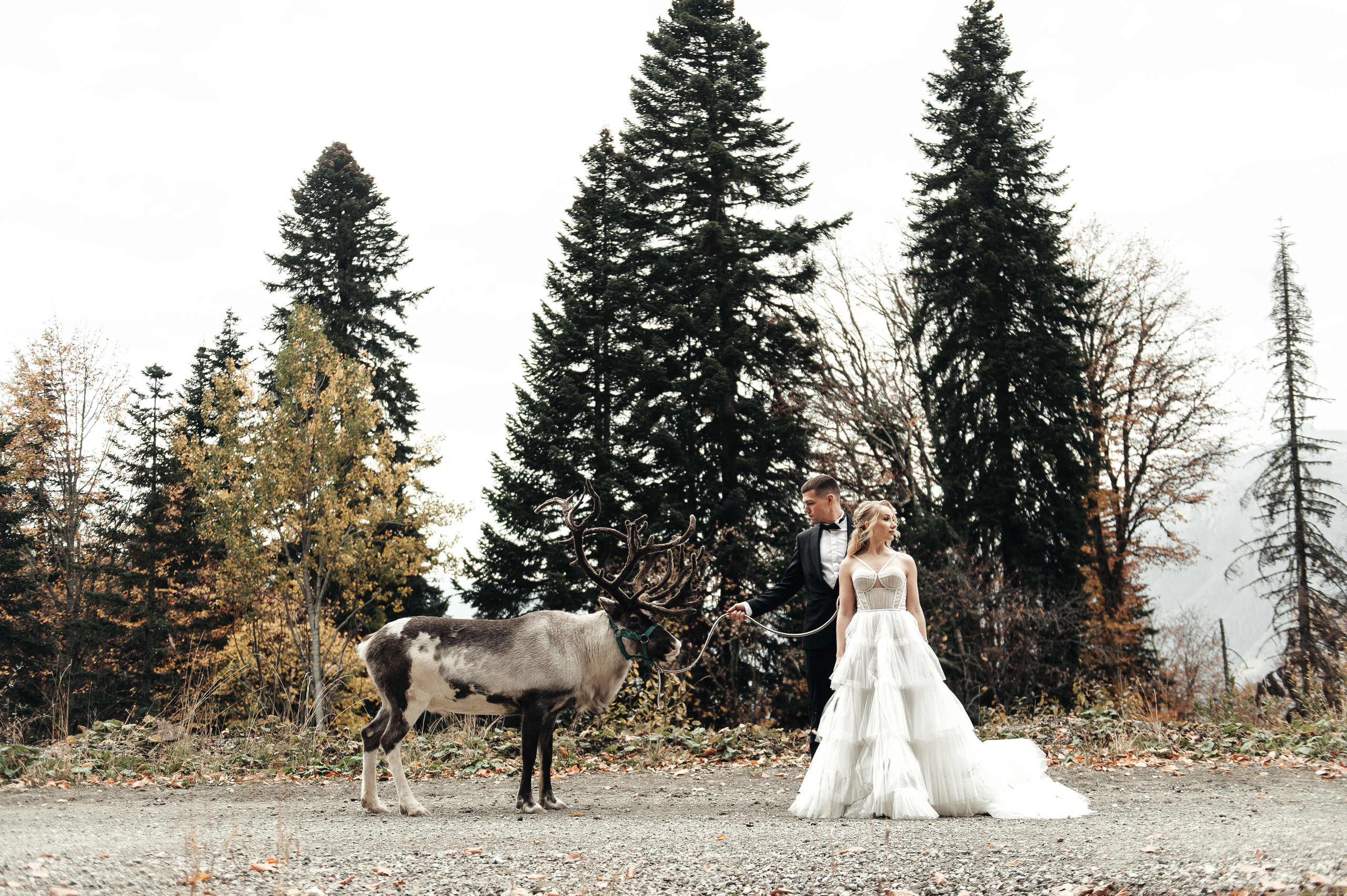 Энвер и Люда. Свадебный фотограф в Ростове-на-Дону Тарасенко Константин