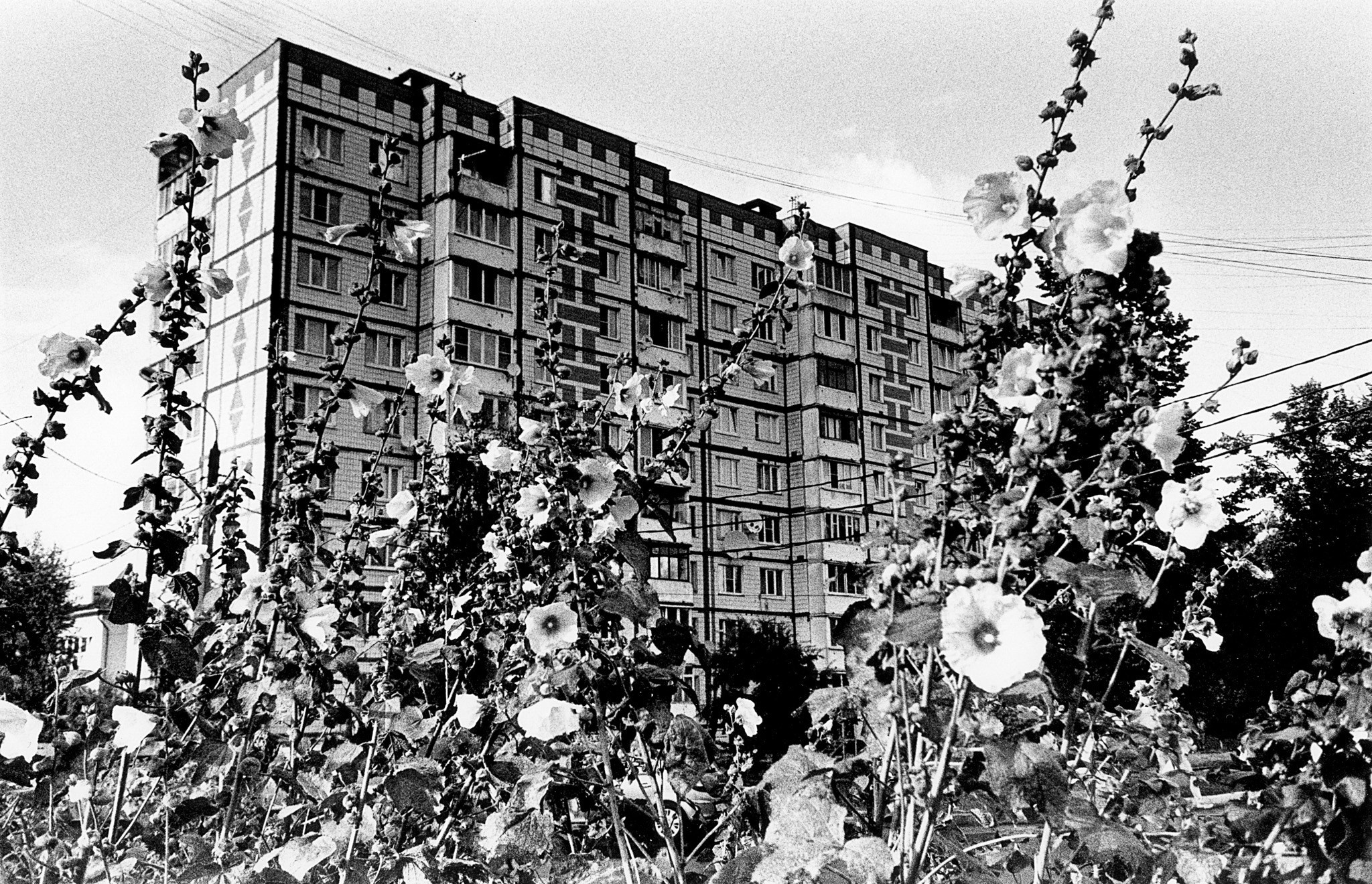 Украшение кофейни, бара, кафе, пекарни пленочными фотографиями на заказ. Плёночный фотограф, заказать фото на плёнку в Москве — Георгий Романов