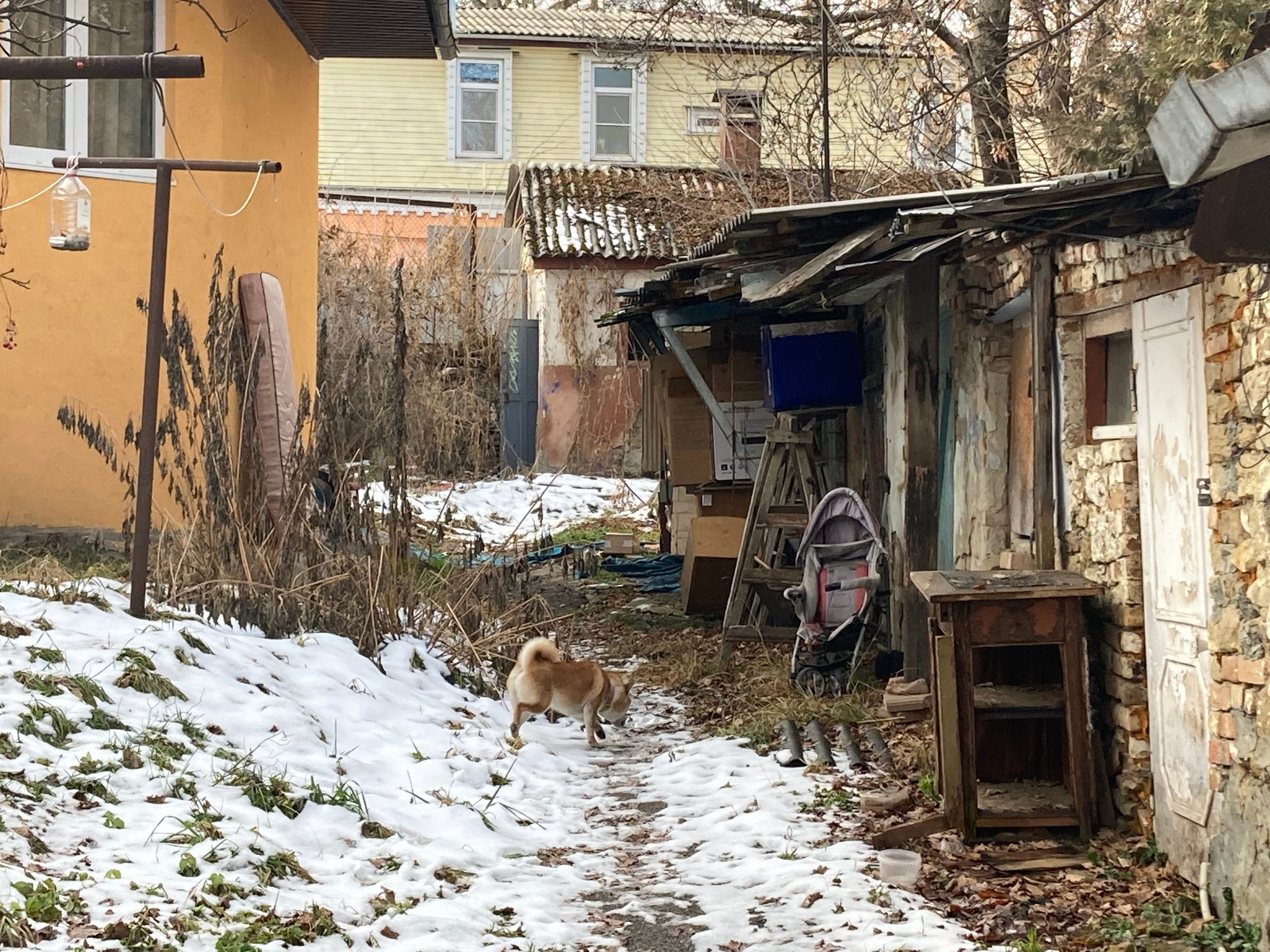 Кисловодск. Смотри, красота!