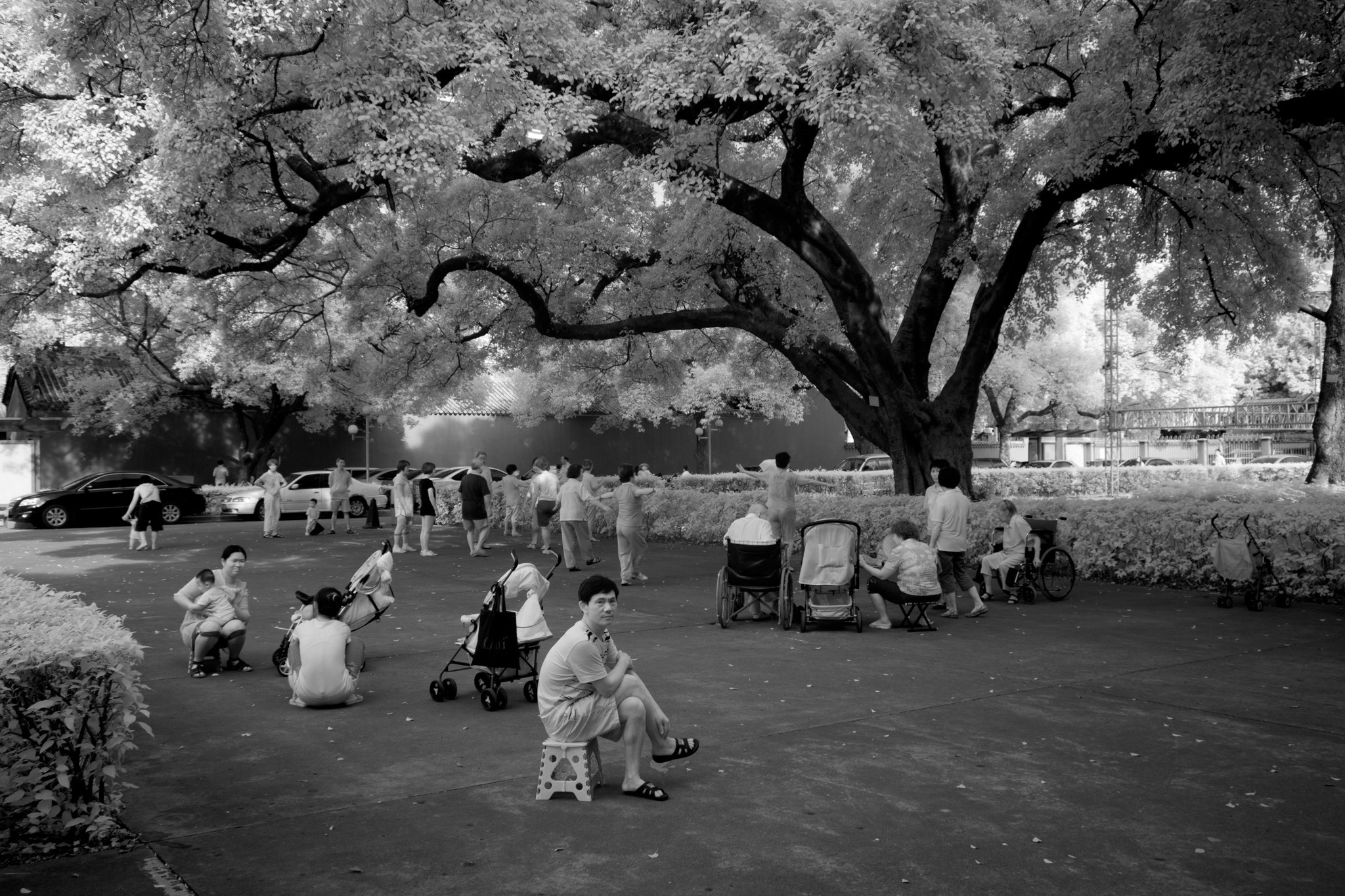 Китай 2012. «dbstudio» — фотосъемка еды и продуктов питания