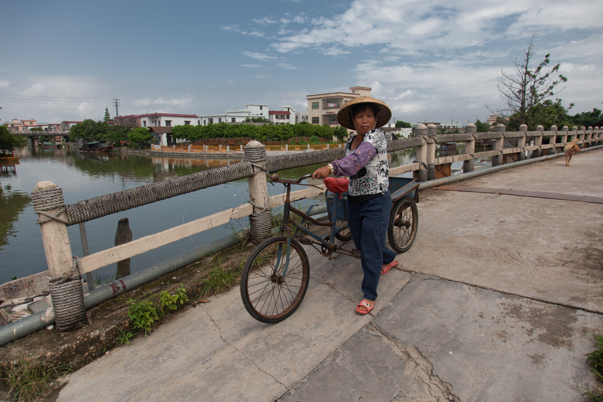 Китай 2012. «dbstudio» — фотосъемка еды и продуктов питания