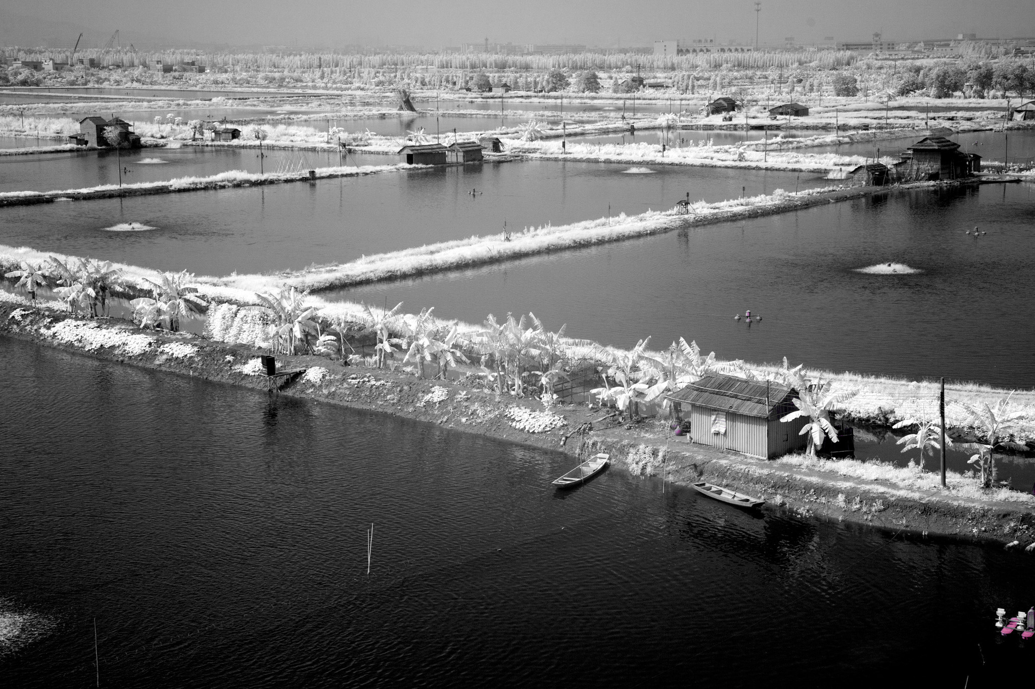 Китай 2012. «dbstudio» — фотосъемка еды и продуктов питания