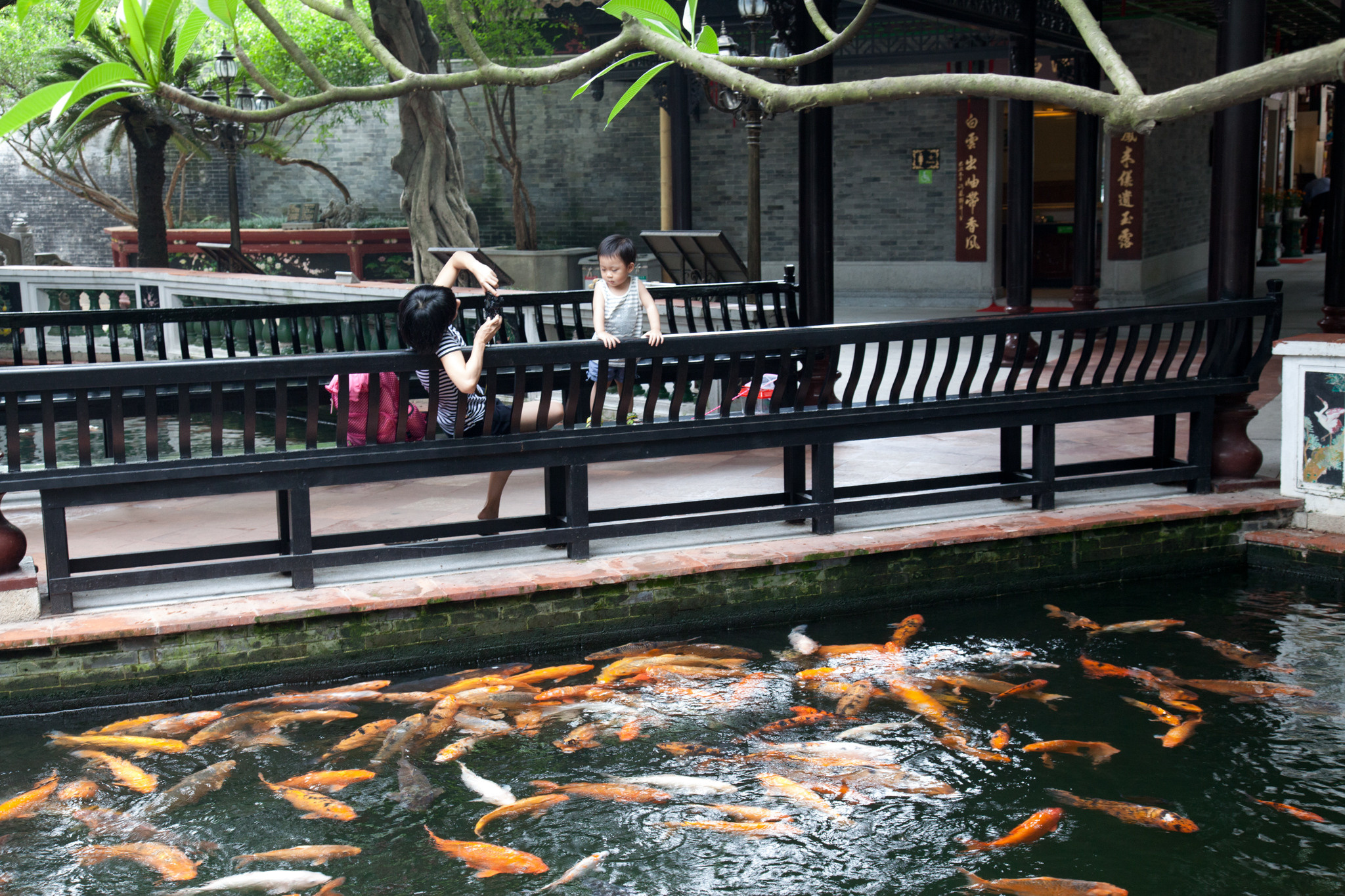 Китай 2012. «dbstudio» — фотосъемка еды и продуктов питания