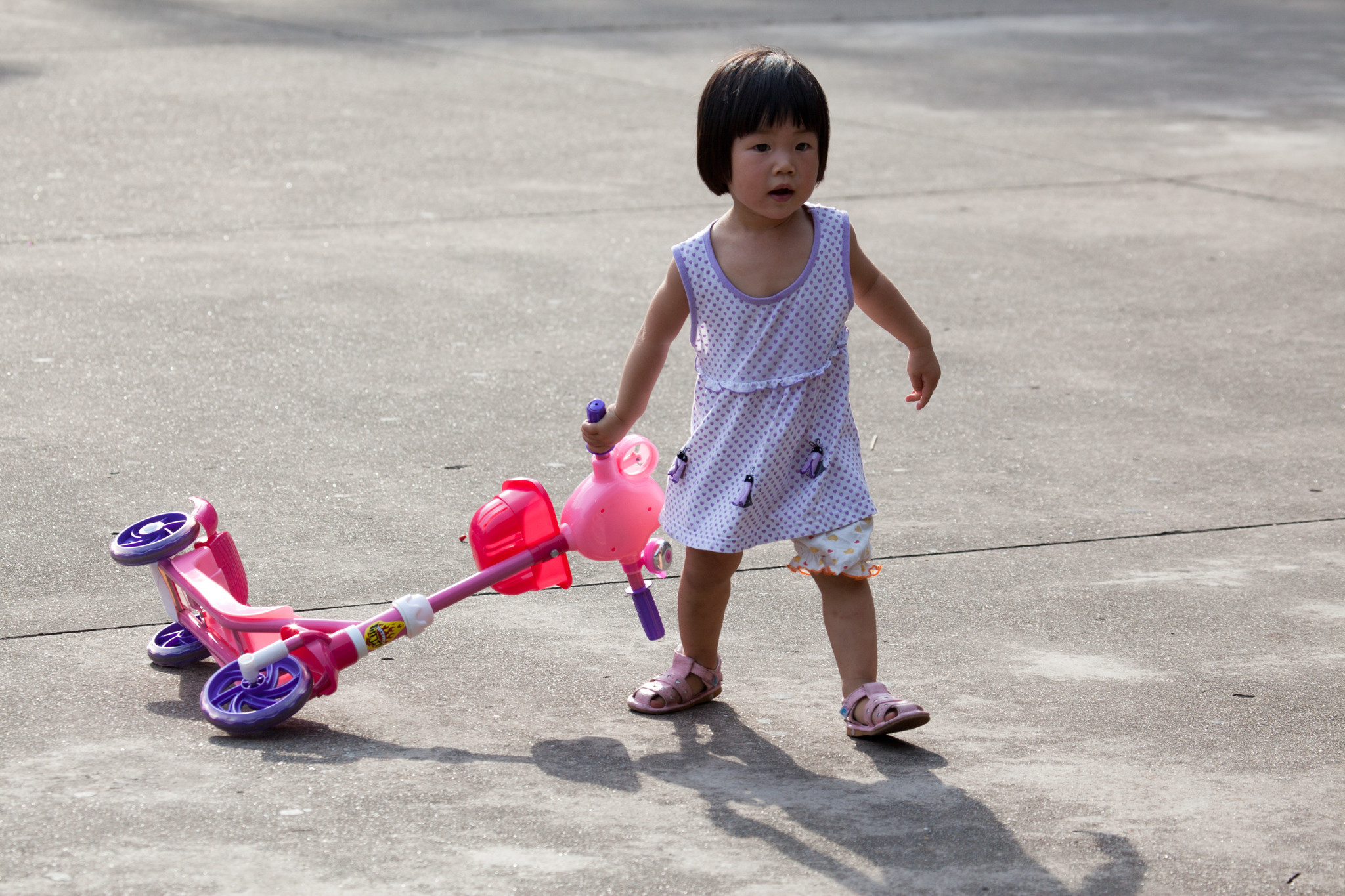 Китай 2012. «dbstudio» — фотосъемка еды и продуктов питания