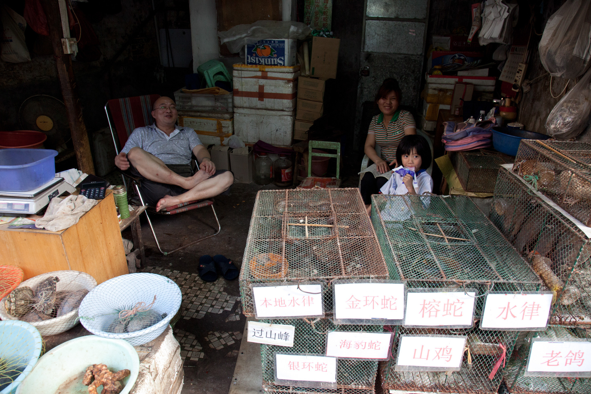 Китай 2012. «dbstudio» — фотосъемка еды и продуктов питания