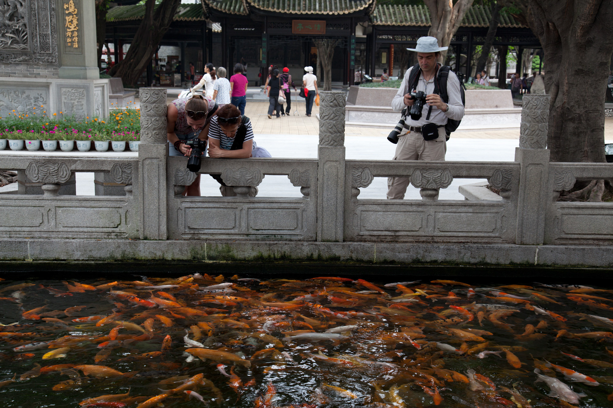 Китай 2012. «dbstudio» — фотосъемка еды и продуктов питания