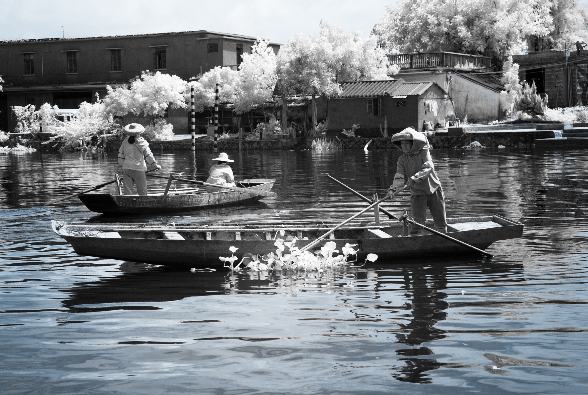 Китай 2012. «dbstudio» — фотосъемка еды и продуктов питания