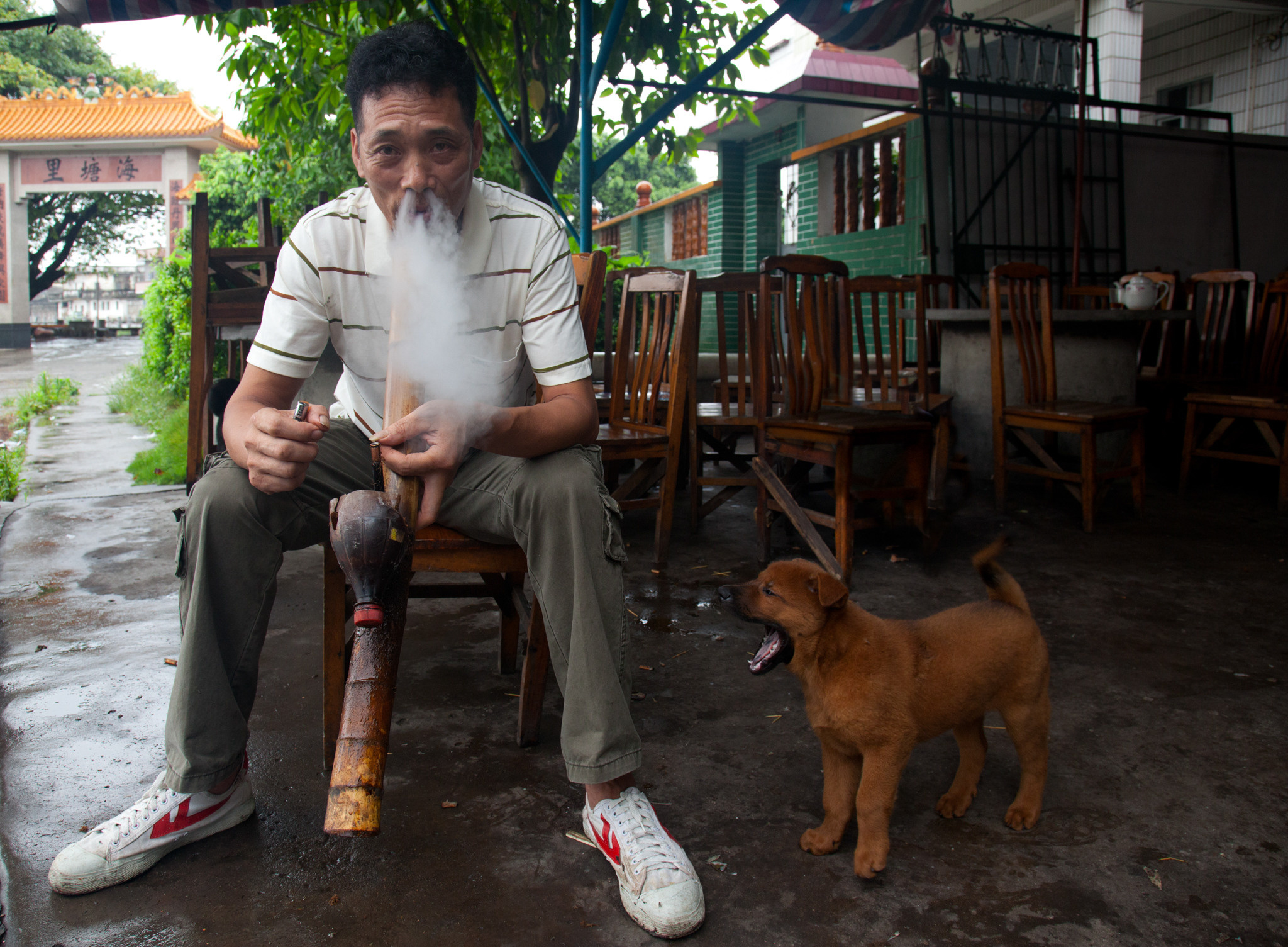 Китай 2012. «dbstudio» — фотосъемка еды и продуктов питания