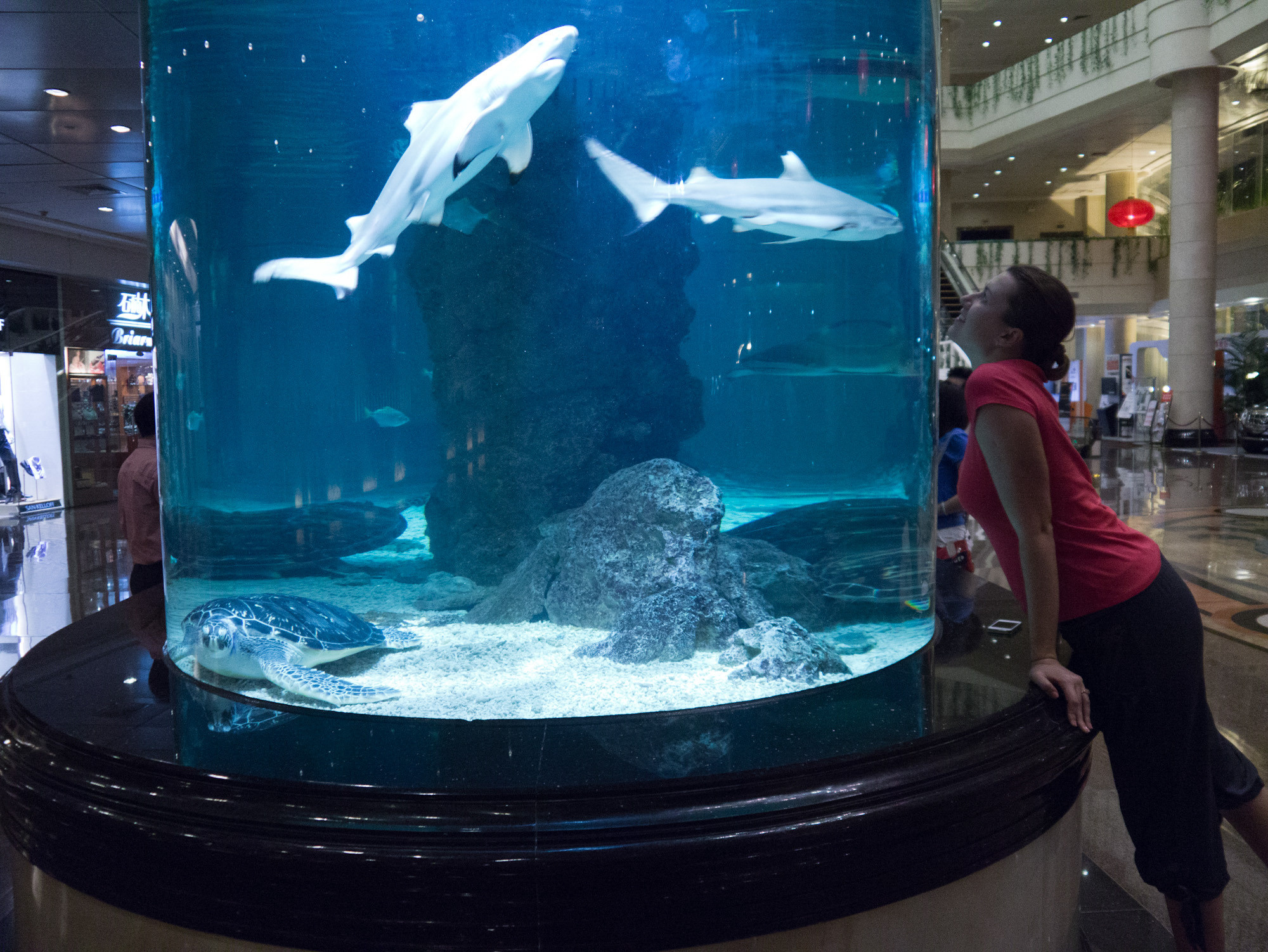 Китай 2012. «dbstudio» — фотосъемка еды и продуктов питания