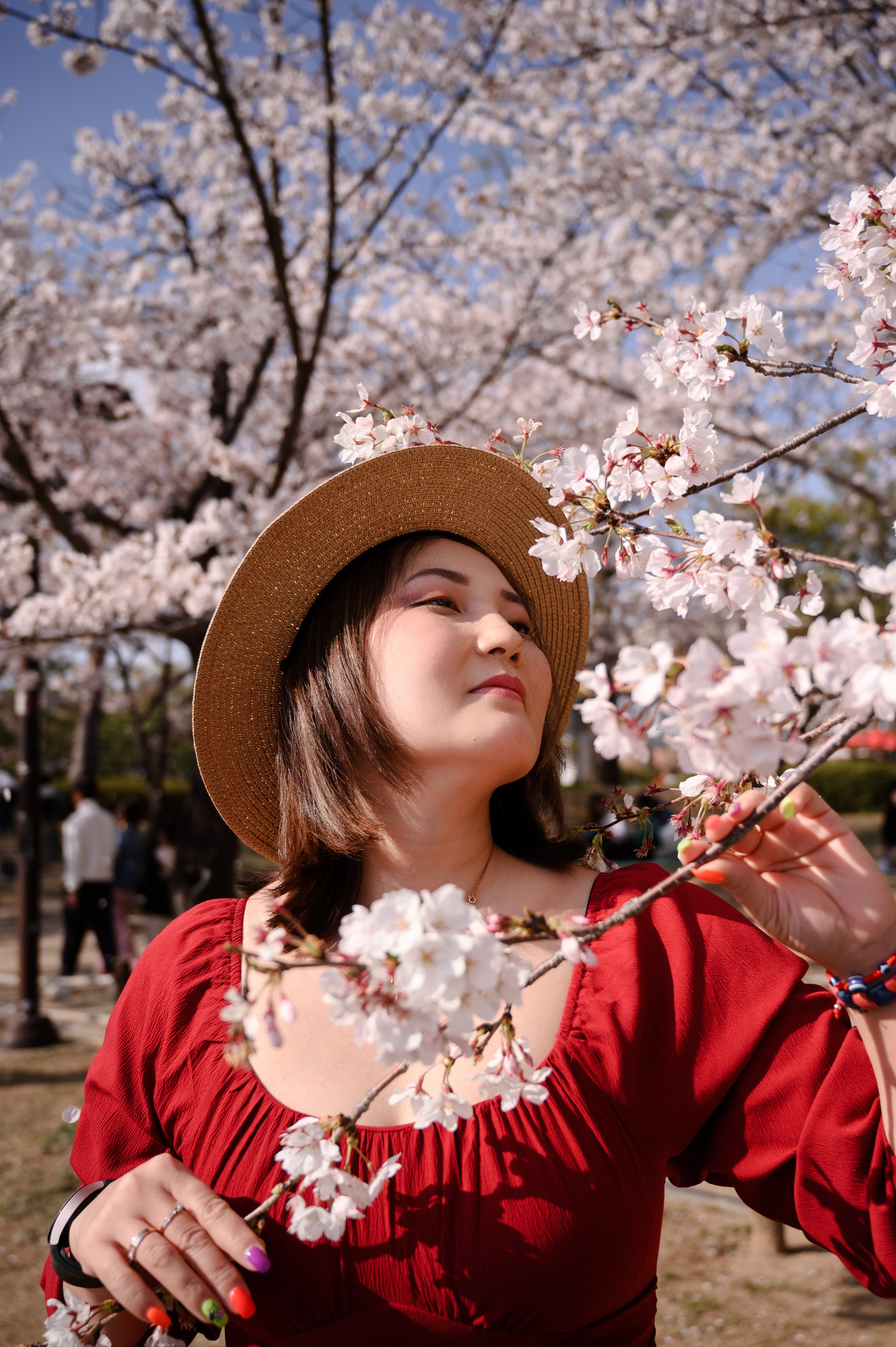 Retrato feminino sob flores de cerejeira em Busan Coreia do Sul