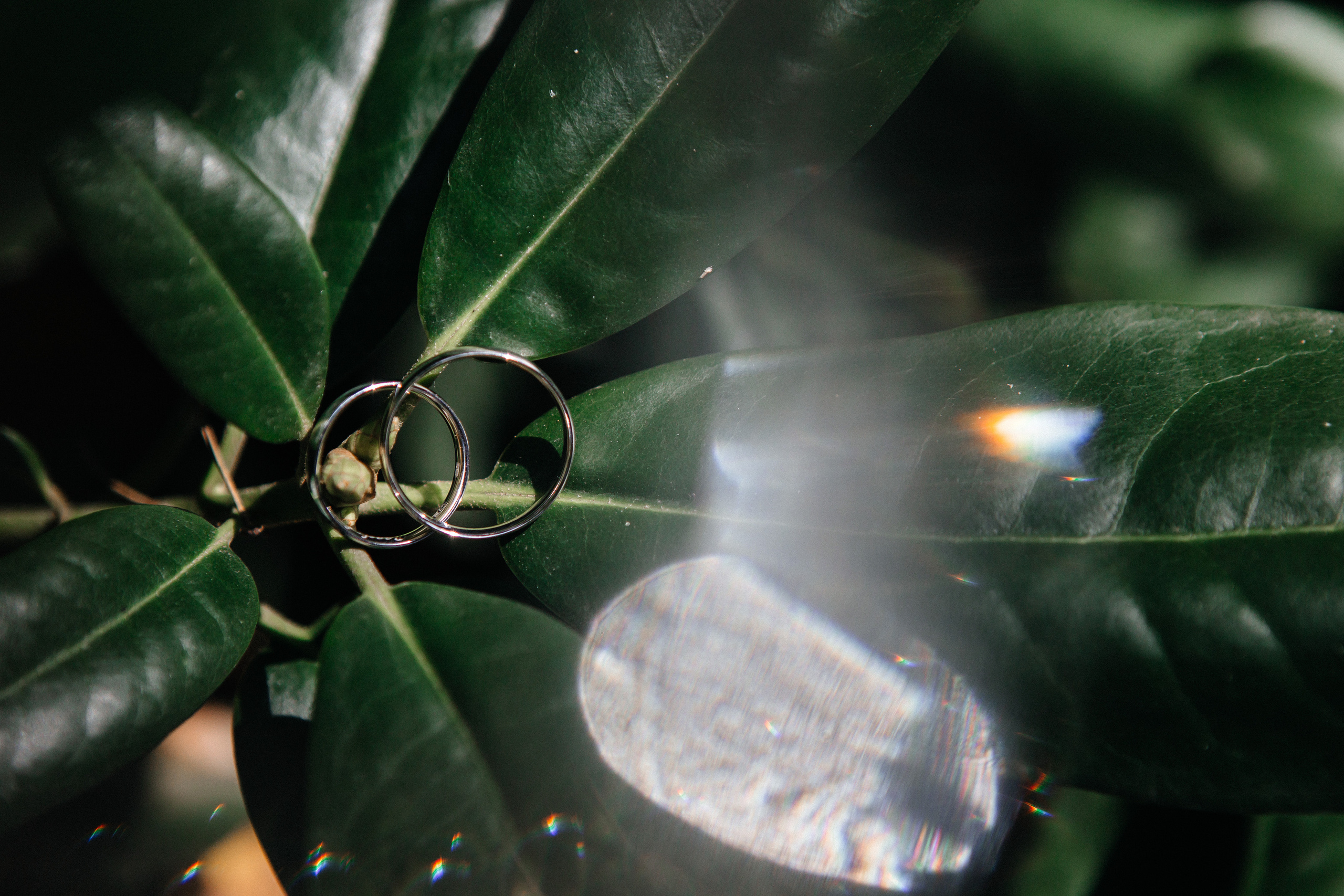 Артем и Александра. Свадебный фотограф Роман Медведев , Минск, Беларусь