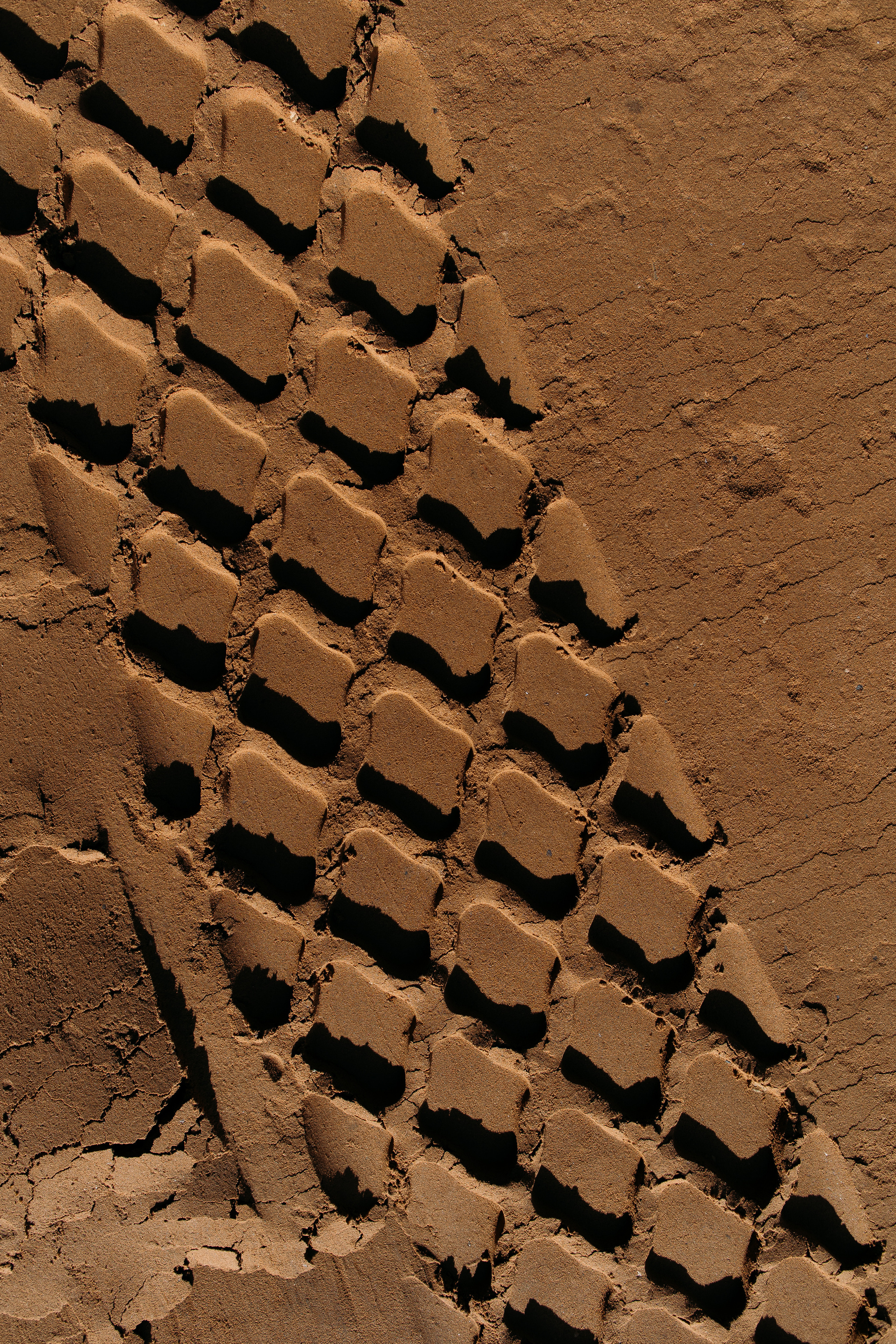 Евгений Зуев. Репортажный фотограф Москва