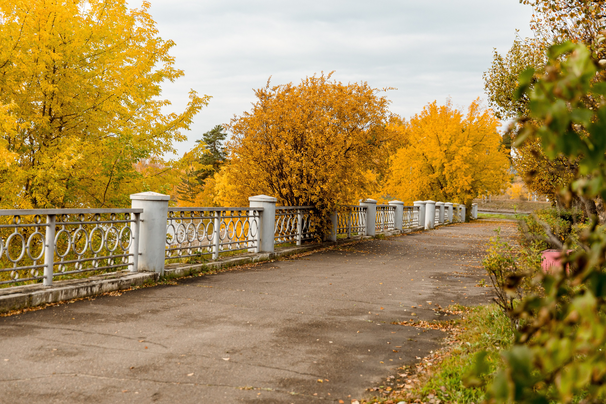 Осень в парке. Семейный и детский фотограф в Железногорске Саламахо Ольга