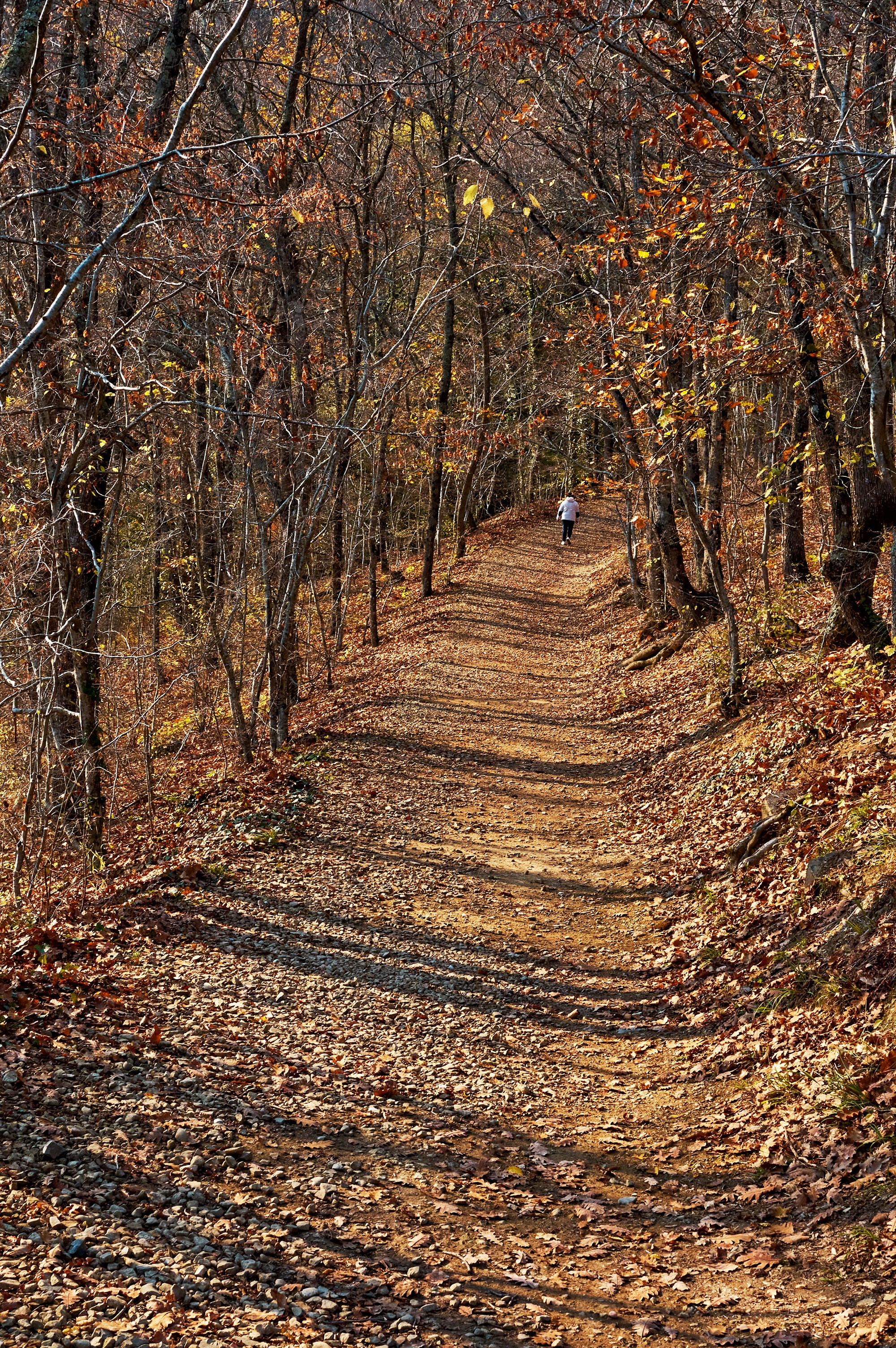 Пейзажи. Яркие фото на Чёрном море