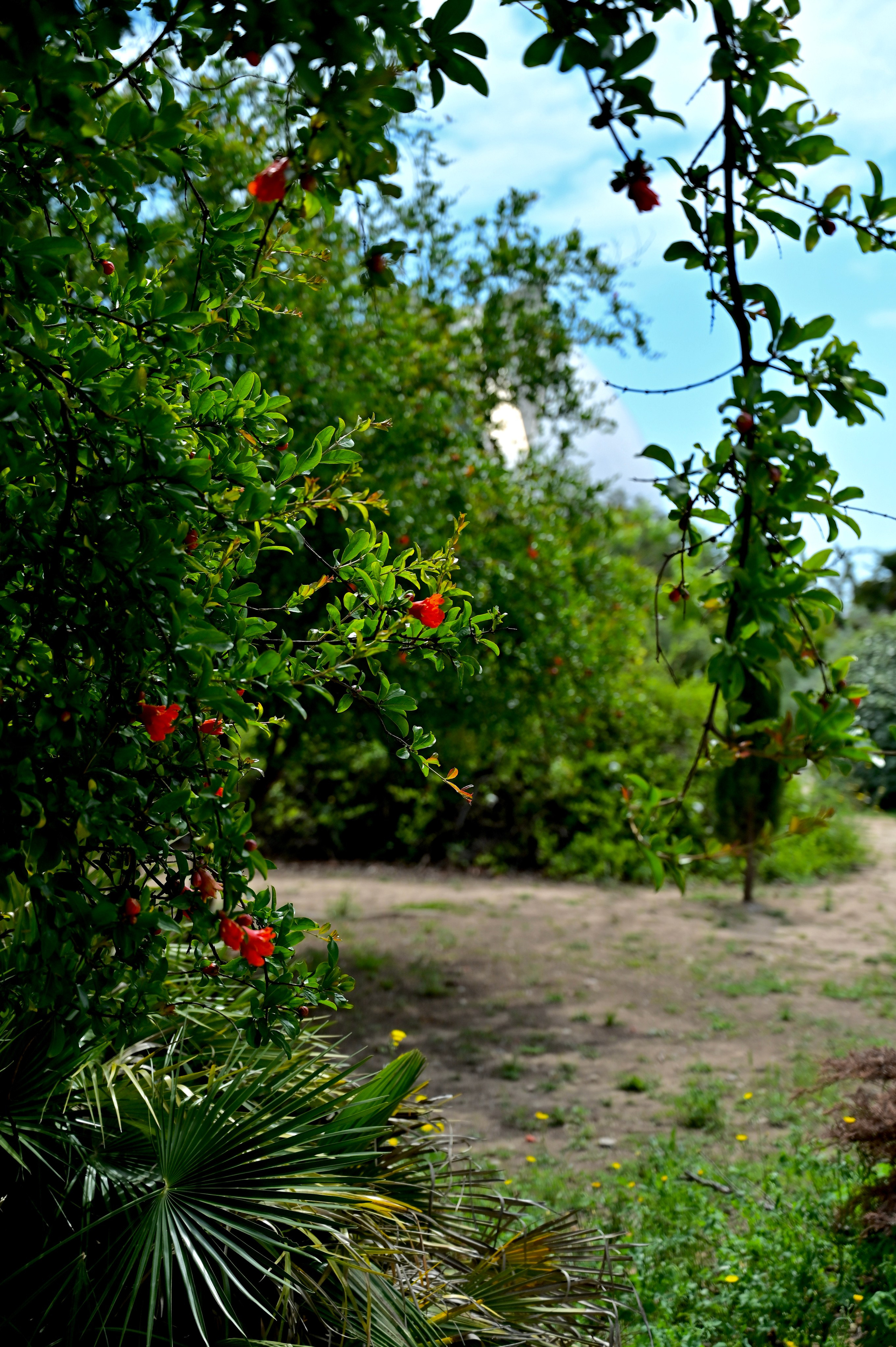Парки Валенсии. Гид и фотограф в Валенсии Новиков Михаил