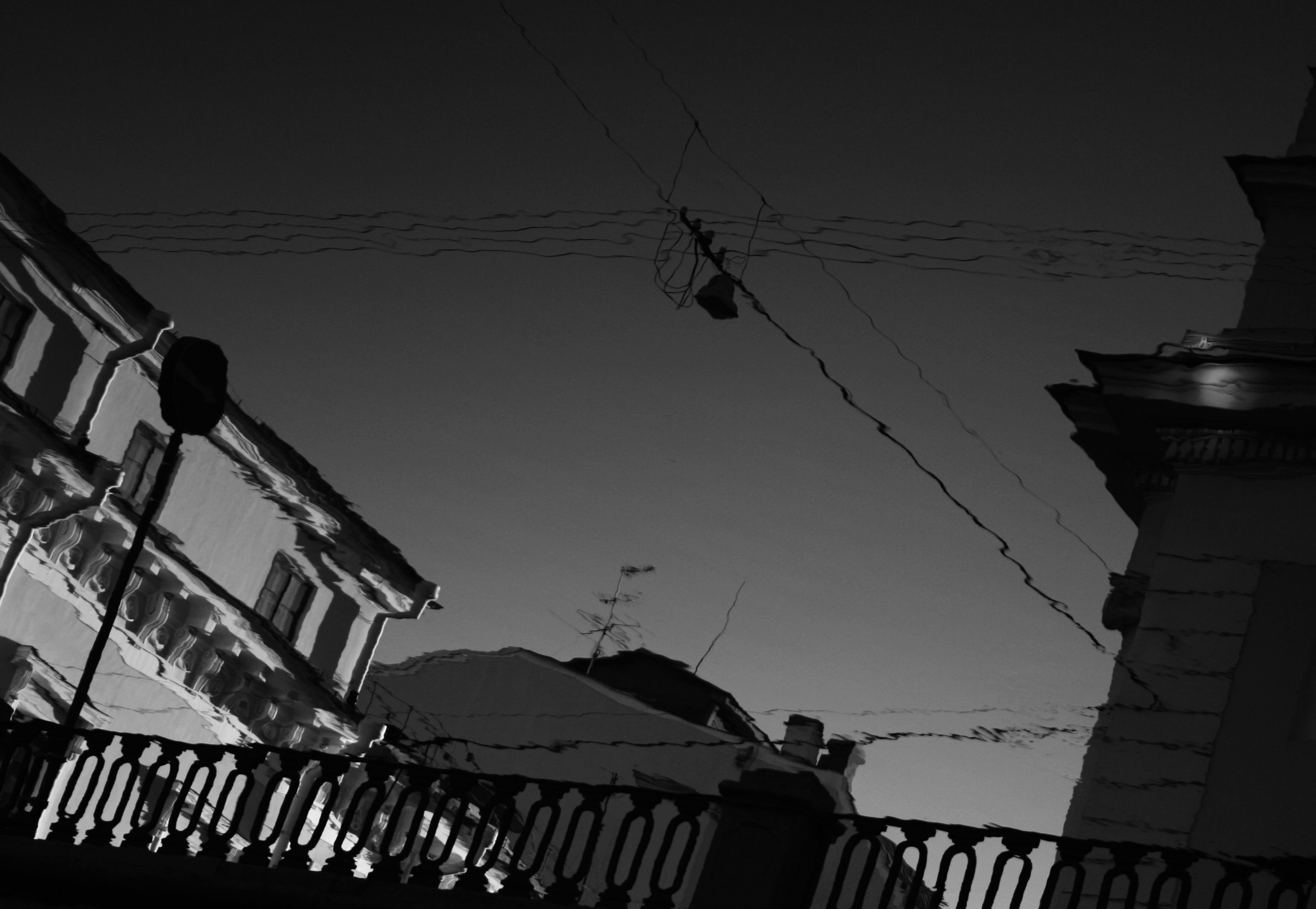 Санкт-Петербург. צלם ואמן ילדים ומשפחה