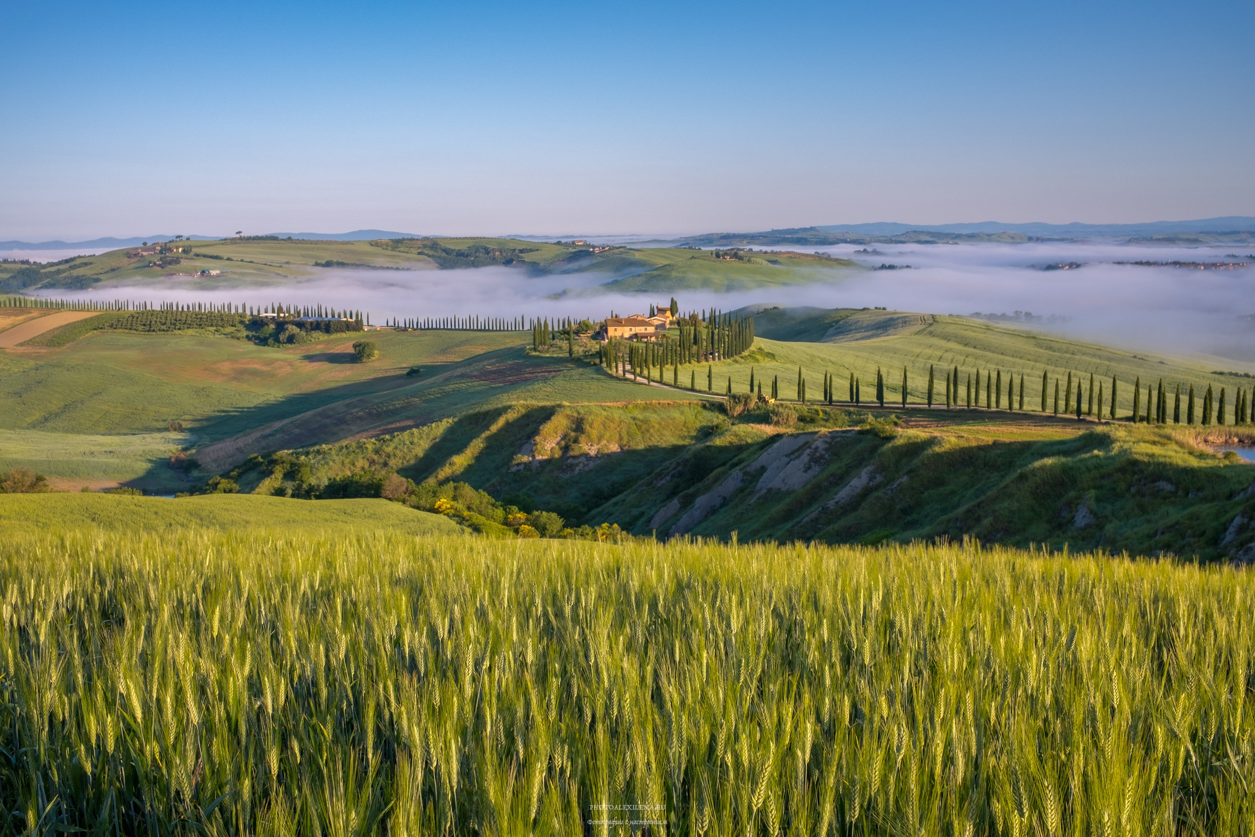 Долина Крете Сенези (Crete Senesi). Авторские стильные фотокартины