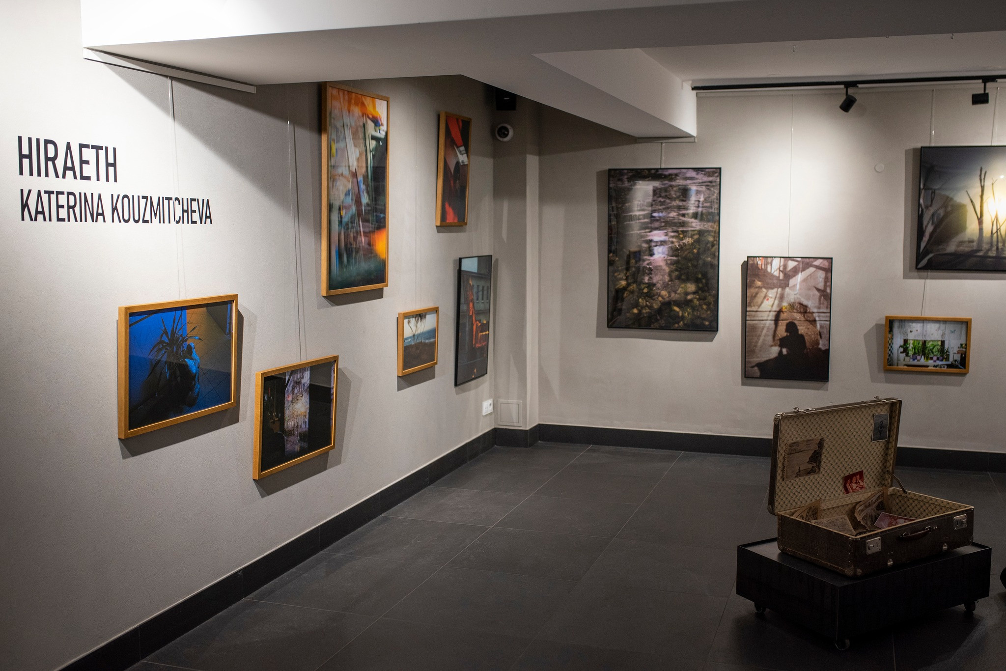 Vivid Gallery, Wroclaw                                                                                                    Fot. Edyta Peas Edytafotopeas