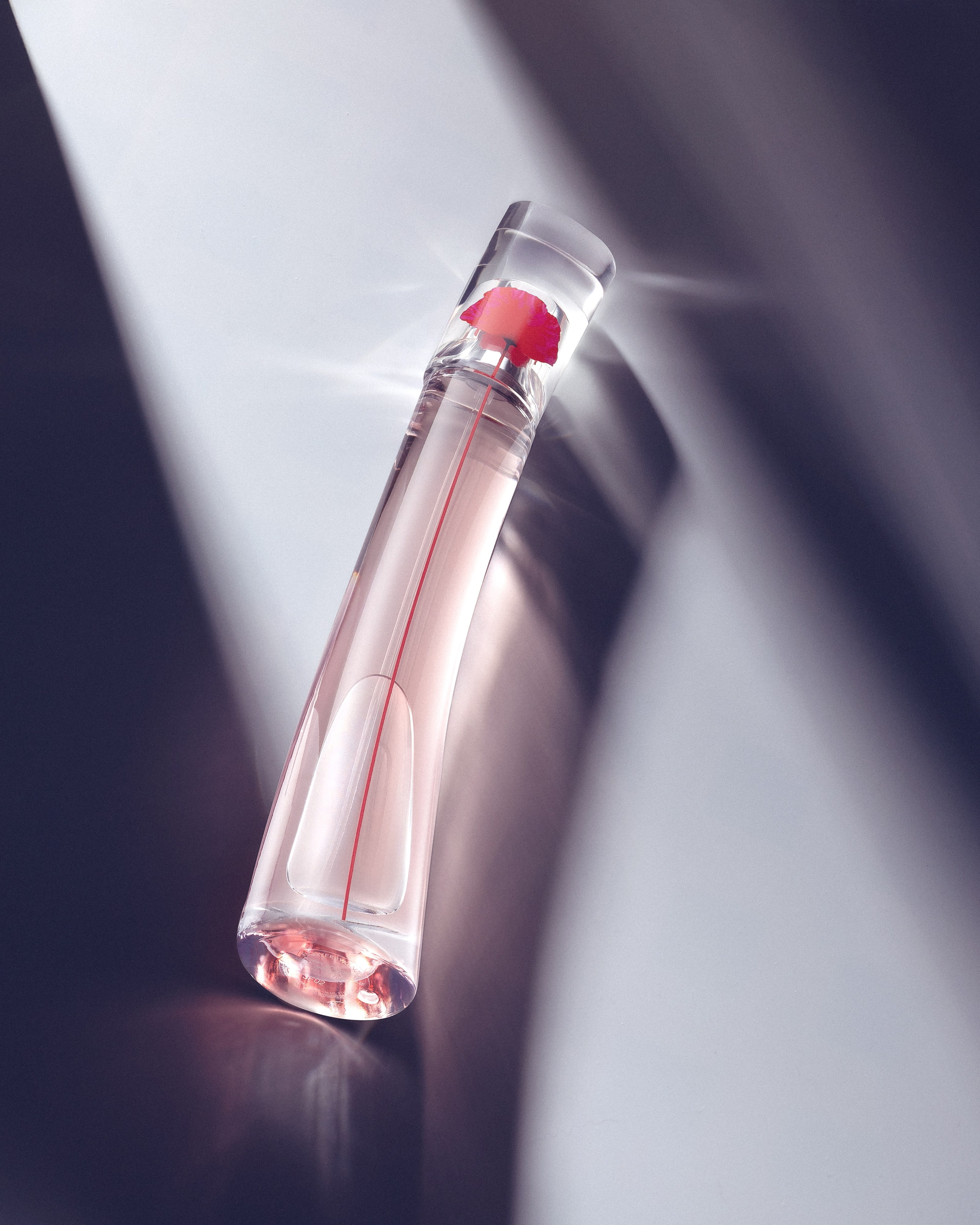 Фотограф Вики Дежавю